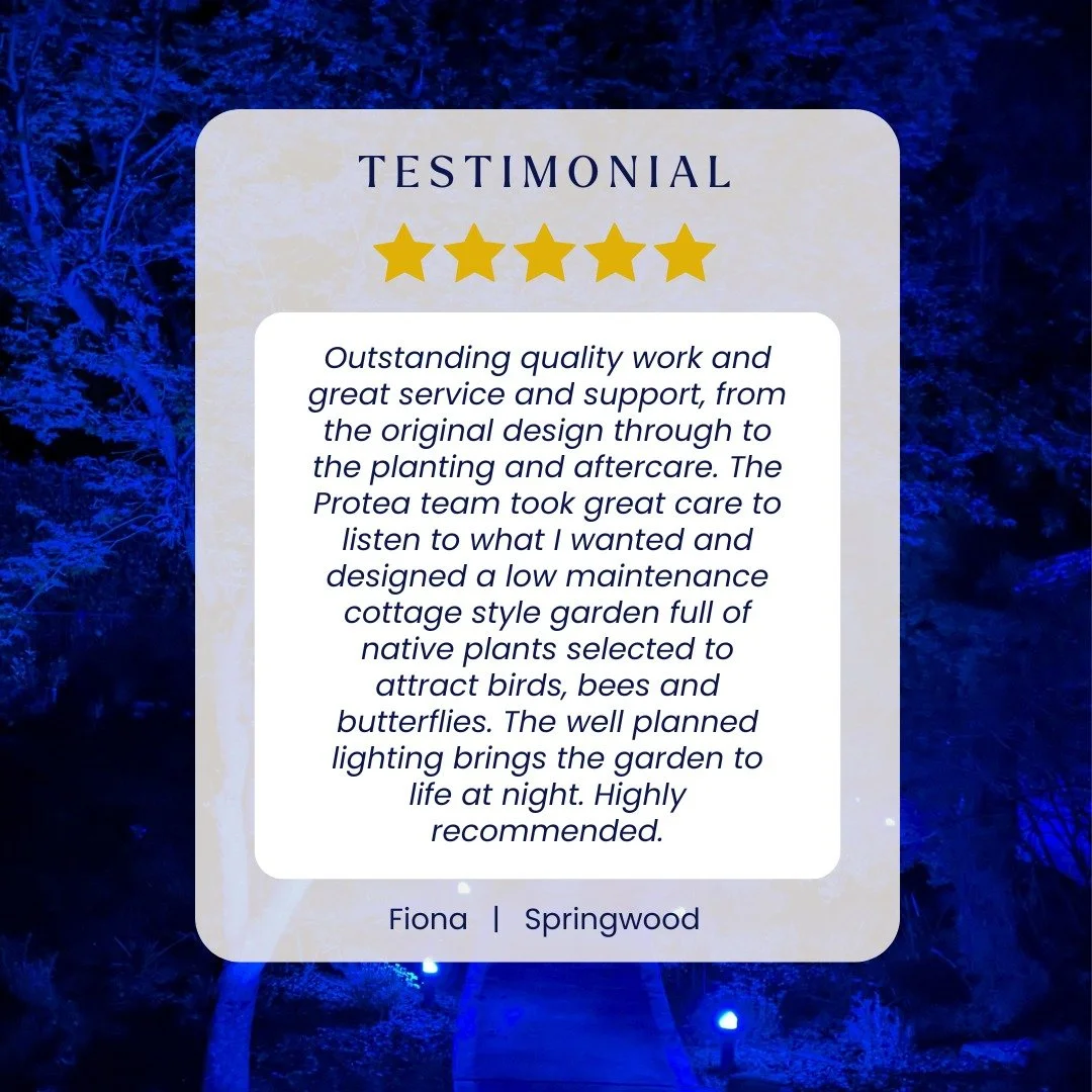 ⭐ 5 STAR REVIEW | SPRINGWOOD ⭐

This is exactly why we do what we do! Creating beautiful, functional gardens that support native wildlife and bring joy to our clients &ndash; day AND night 🌿🌙

From the first consultation to ongoing aftercare, we're