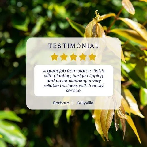 ⭐ 5 STAR REVIEW | KELLYVILLE ⭐

Barbara's old hedge was causing allergies that stopped her from enjoying her outdoor space. We'd previously removed it + planted a beautiful, allergy-friendly Lilly Pilly hedge in its place&mdash;and it's settled in be