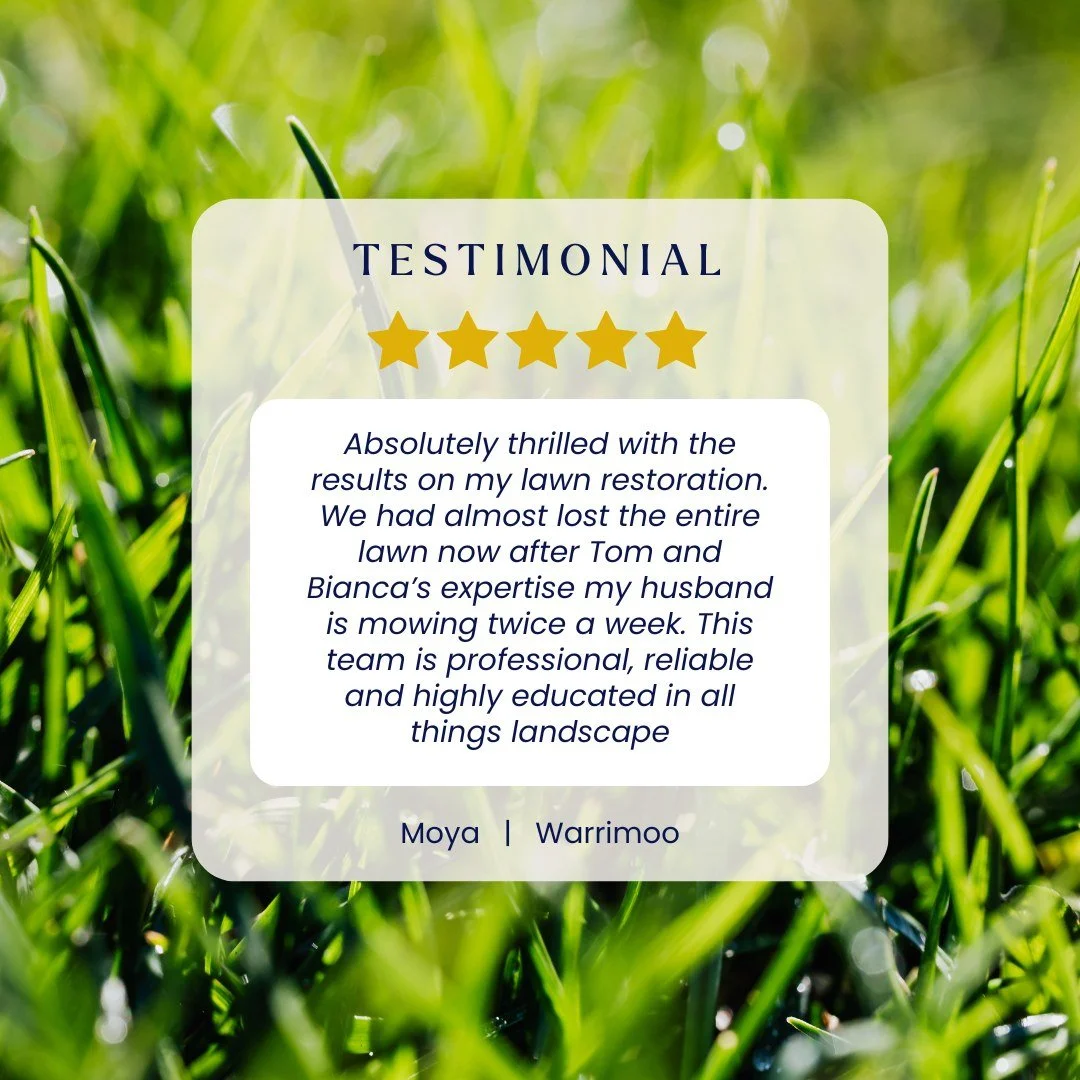 ⭐ 5 STAR REVIEW | WARRIMOO ⭐
Thank you, Moya! From patchy to the best lawn in the street&mdash;that's exactly what we love to hear 💚

Moya's lawn had almost completely failed, but with the right horticultural approach, we brought it back to life. No