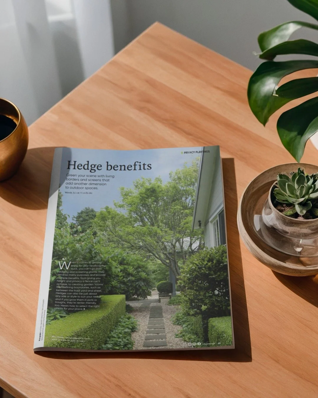 🌸 FEATURED IN BUNNINGS MAGAZINE 🌸
We're thrilled to share that our horticulturalist Tom has been featured in the March edition of Bunnings Magazine! 🙌

Tom provided expert knowledge on hedge planting + care for the national magazine, which goes ou