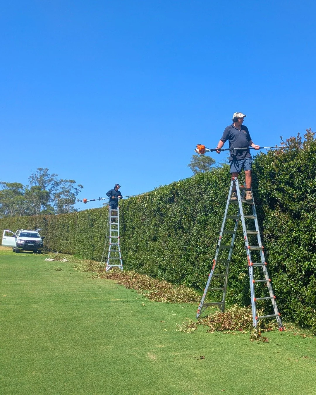 💪 GET PAID TO GET FIT | NOW HIRING 💪
Protea Landscapes is hiring for garden maintenance positions in the Blue Mountains + Penrith areas. If you're looking for meaningful work that keeps you active, outdoors, and earning&mdash;this could be perfect 