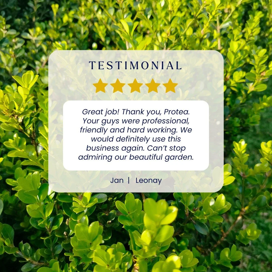 ⭐ 5 STAR REVIEW | LEONAY ⭐
Thank you, Jan! "Can't stop admiring our beautiful garden" is exactly what we love to hear 💚

Our team spent the day transforming Jan's property with comprehensive hedge trimming&mdash;from buxus to large oleande