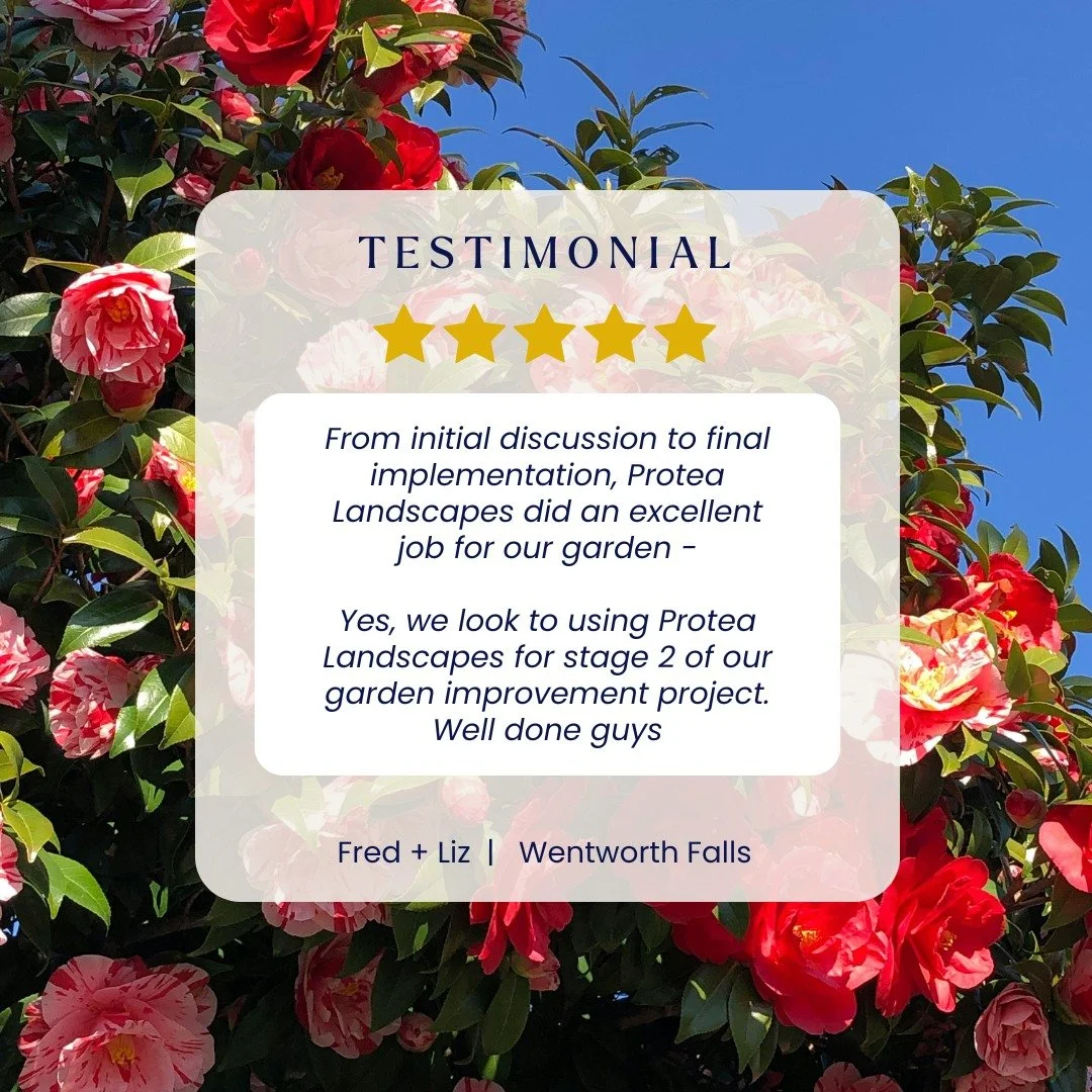 ⭐ 5 STAR REVIEW | WENTWORTH FALLS ⭐
Thank you for trusting us with your garden! We're thrilled you're already planning stage 2 💚

This Wentworth Falls project involved comprehensive garden care&mdash;edging all the garden beds, removing a diseased r
