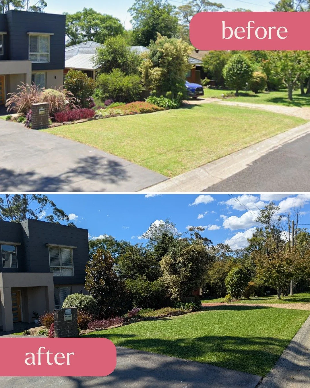 🌱 LAWN RESTORATION | WARRIMOO 🌱
From almost gone to mowing twice a week&mdash;that's a serious comeback 💚

Moya's buffalo lawn had almost completely failed, but with the right horticultural approach, we brought it back to life. We aerated the comp