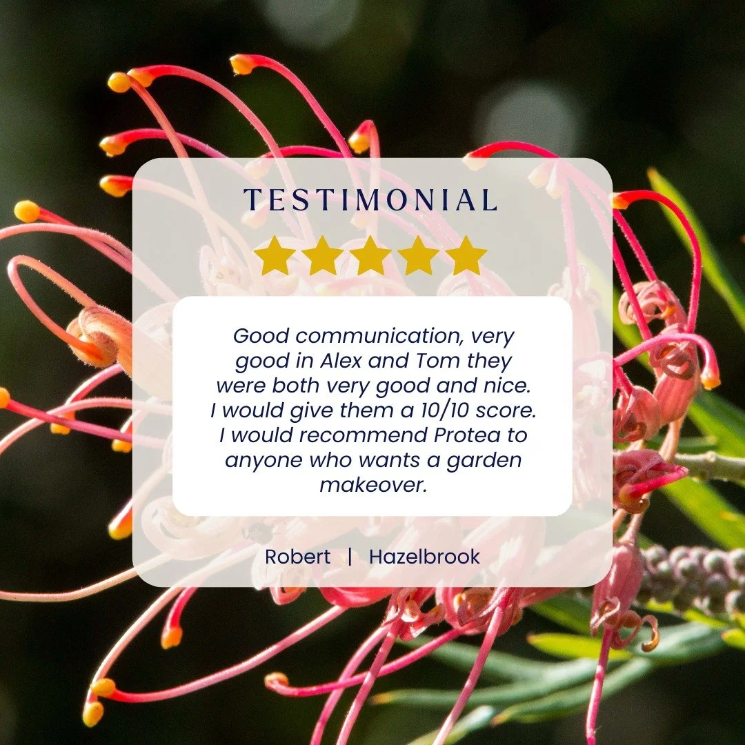 ⭐ 5 STAR REVIEW | HAZELBROOK ⭐
Thank you, Robert! Alex + Tom loved working on your garden transformation 💚

This Hazelbrook garden makeover involved comprehensive care from top to bottom&mdash;lawn mowing, thinning overgrown ivy + weeds, clearing le