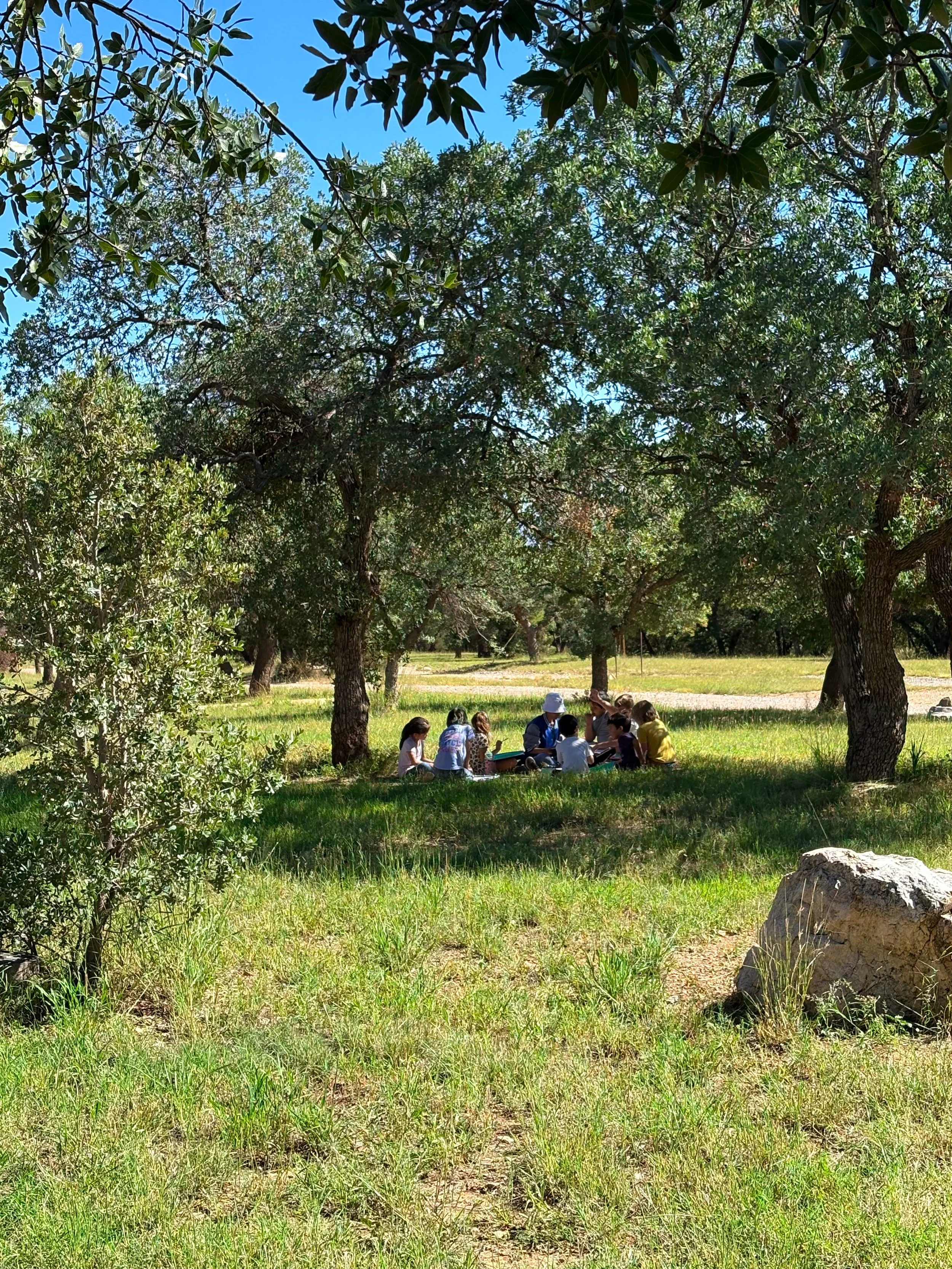Students learning outdoors