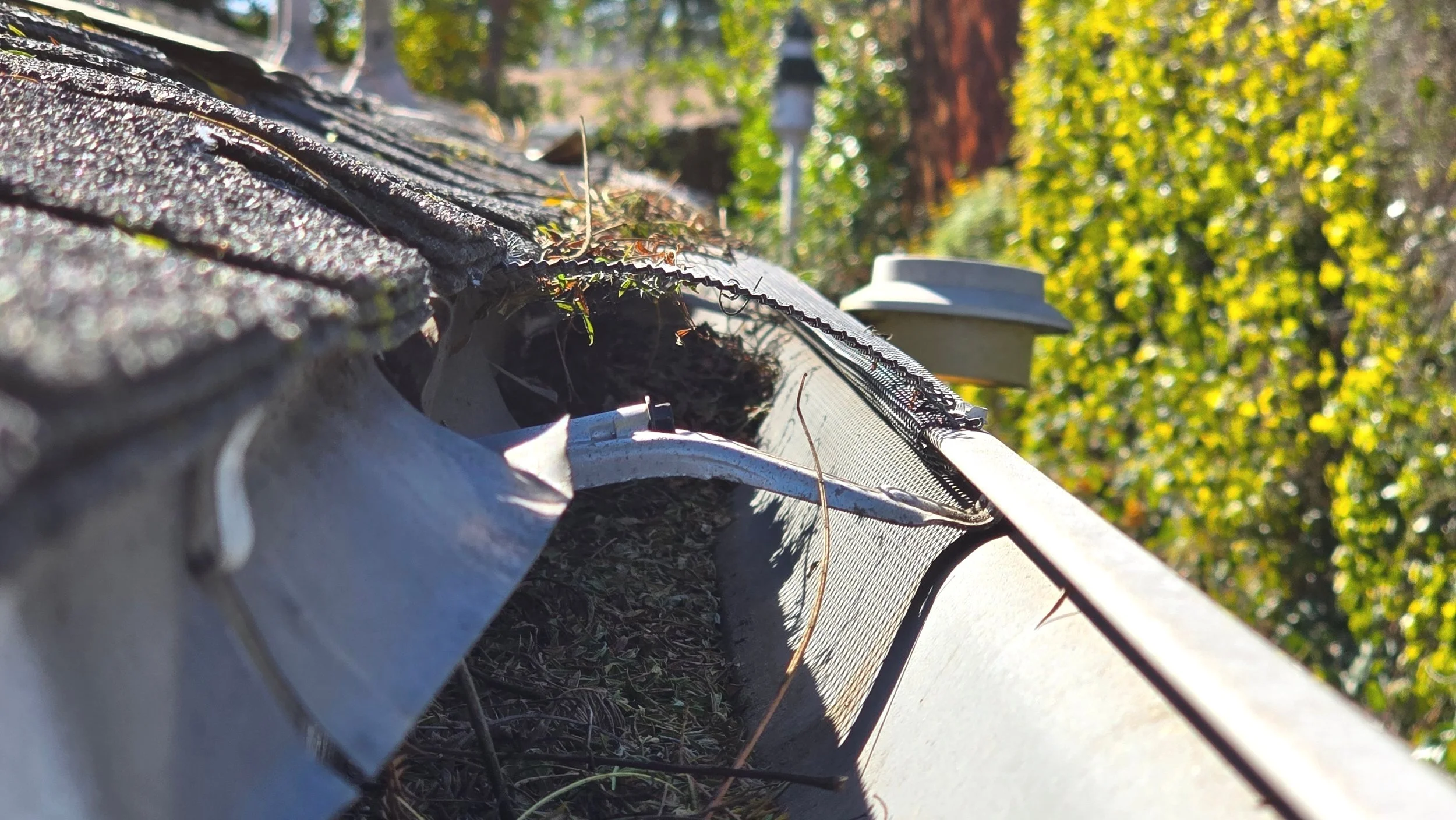 Close-up of a damaged outdoor gutter with leaves and debris, and a background of trees and a mailbox.