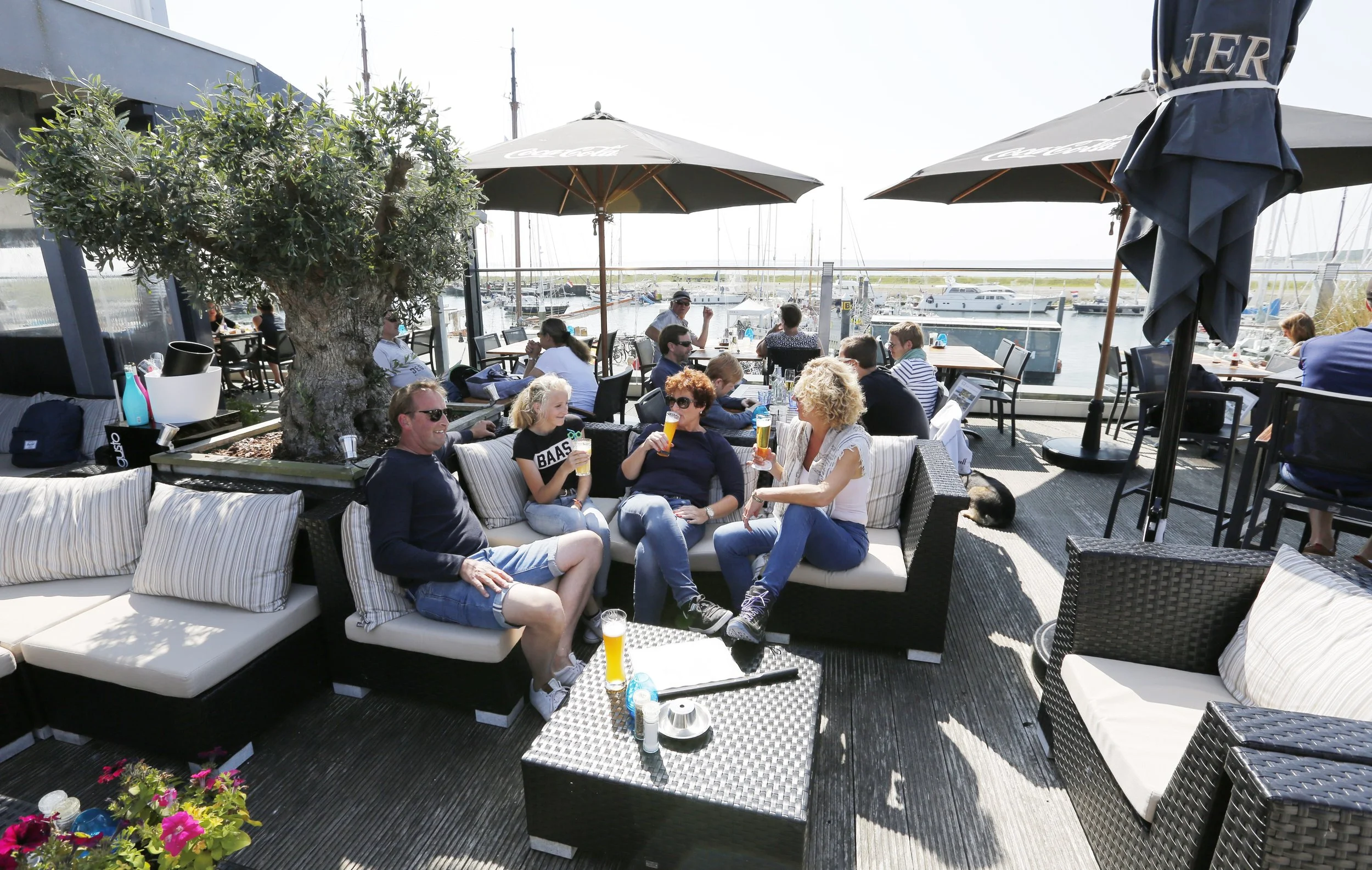 Vijf mensen met glazen bier zitten op een terras met uitzicht op de jachthaven van Vlieland, onder parasols, met een grote olijfboom en een witte koepel. Ze lijken te genieten van de zon en het samenzijn.