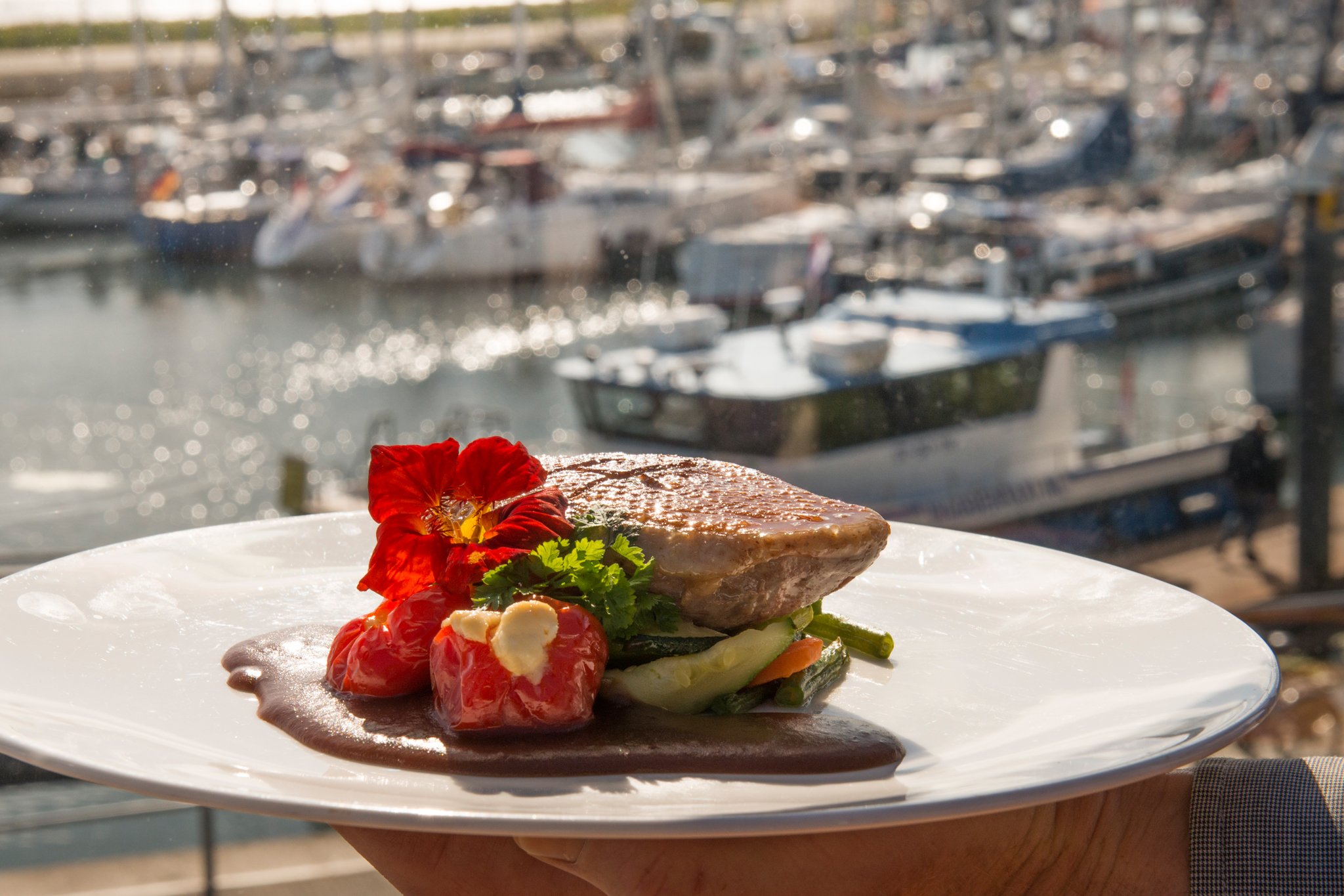 Eendenborst met uitzicht op de haven