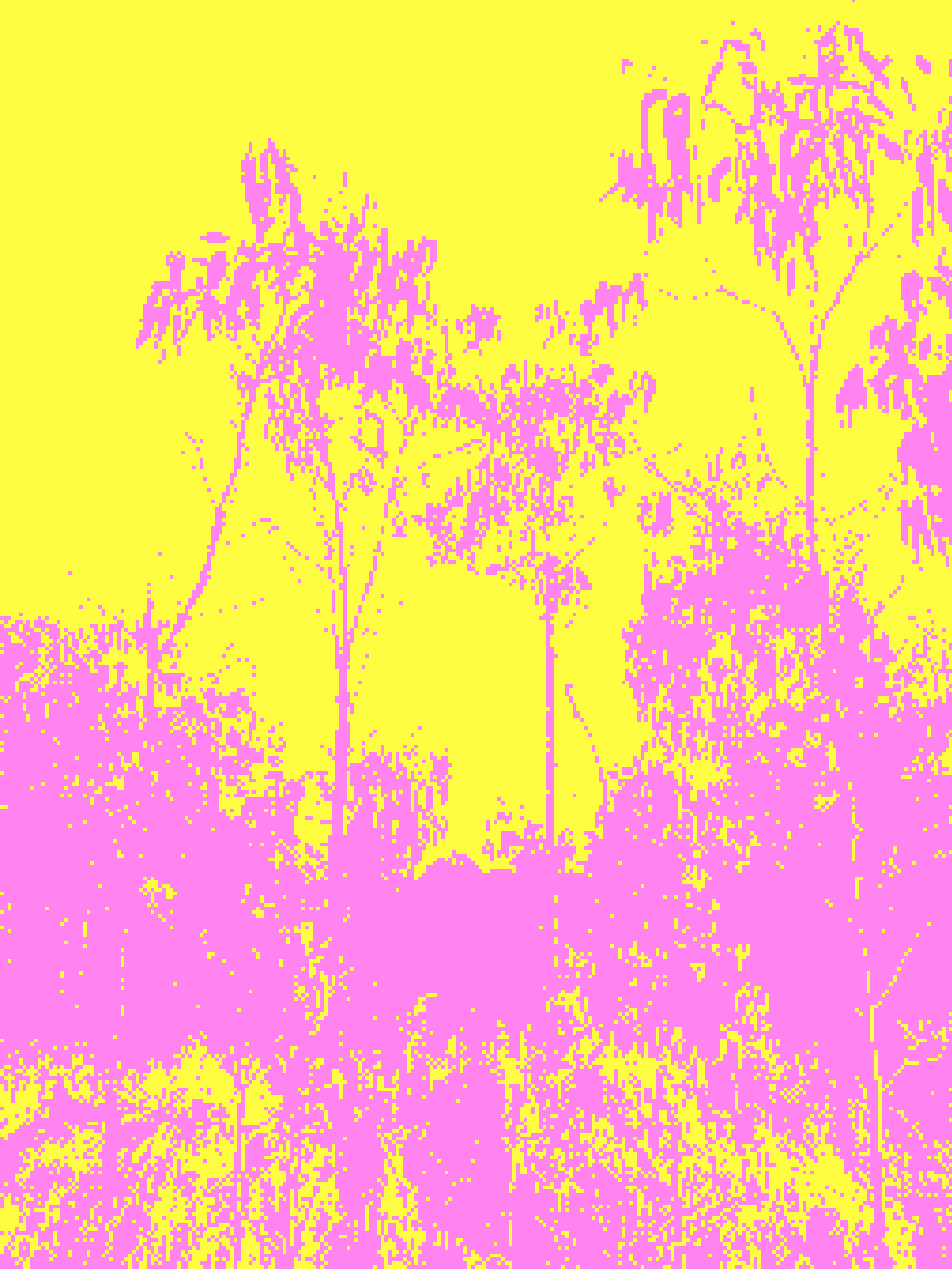 Planting Meanjin 2026