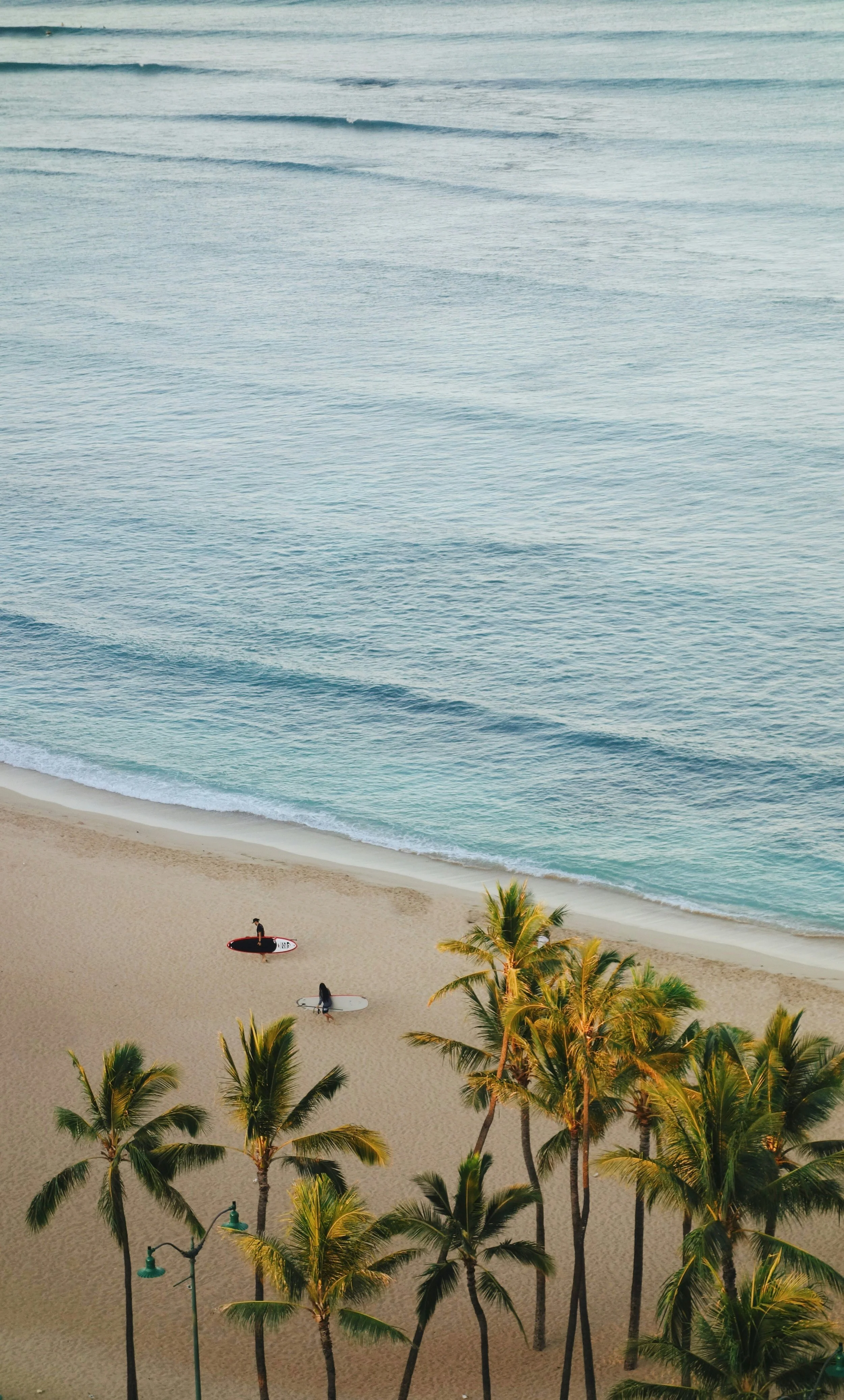 brandon-cormier-nKAX3iIRjwM-unsplash (1).jpg