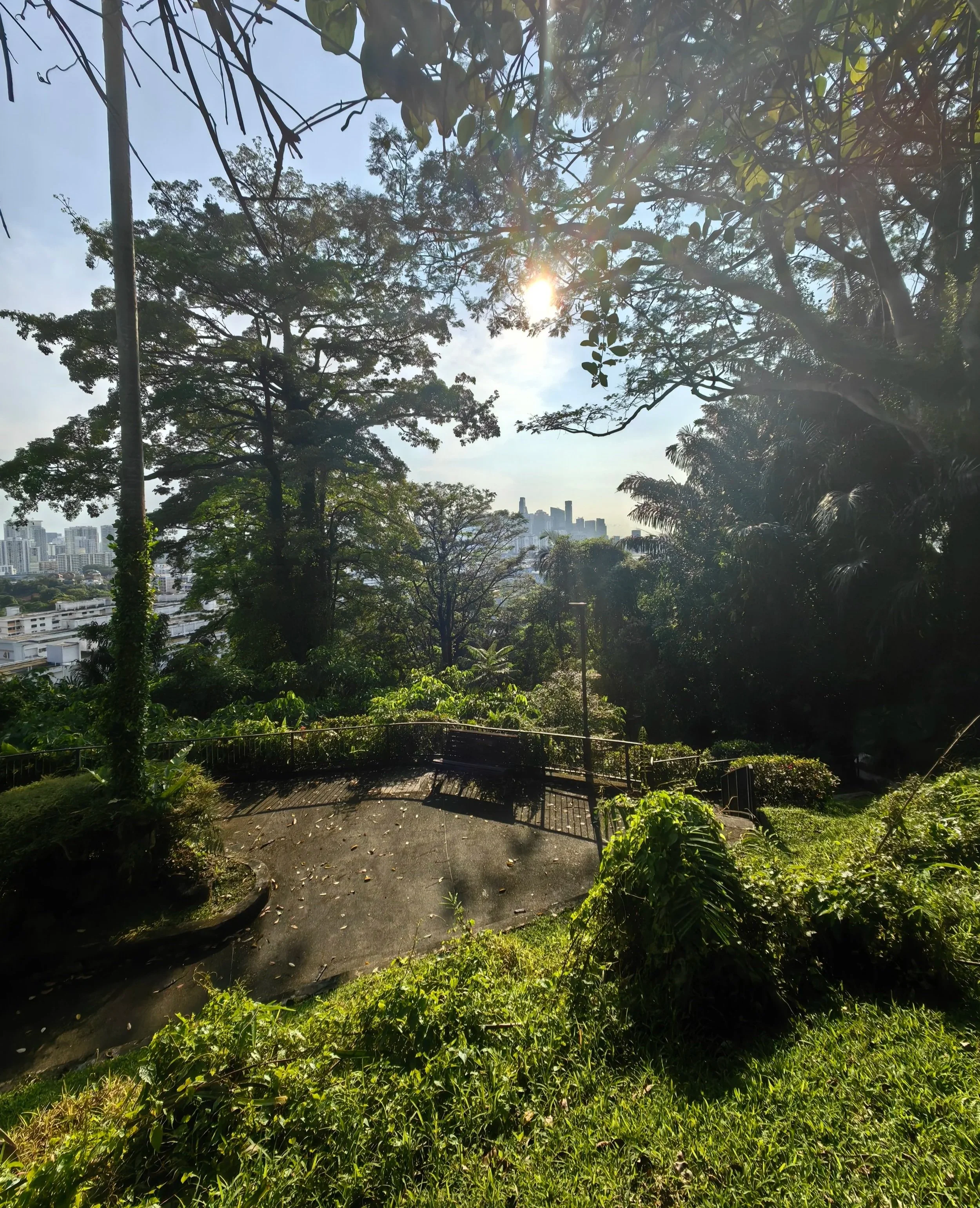 Deep Time Walk experience in Singapore, Mount Faber.