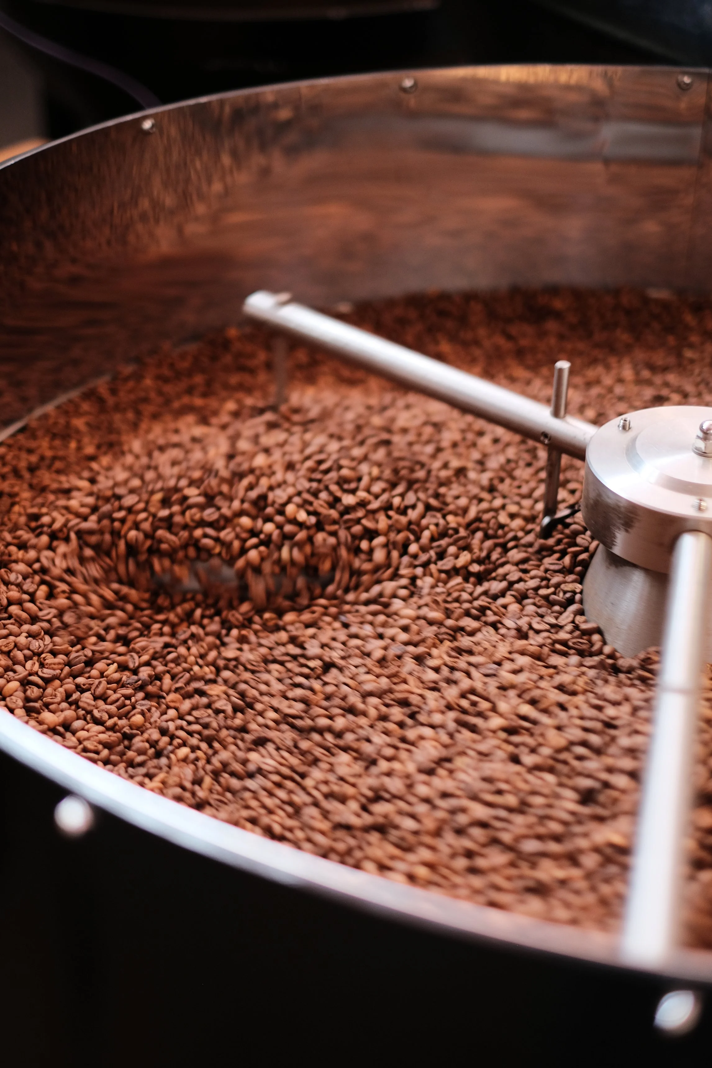Café de spécialité torréfié en refroidissement dans la trémie du torréfacteur