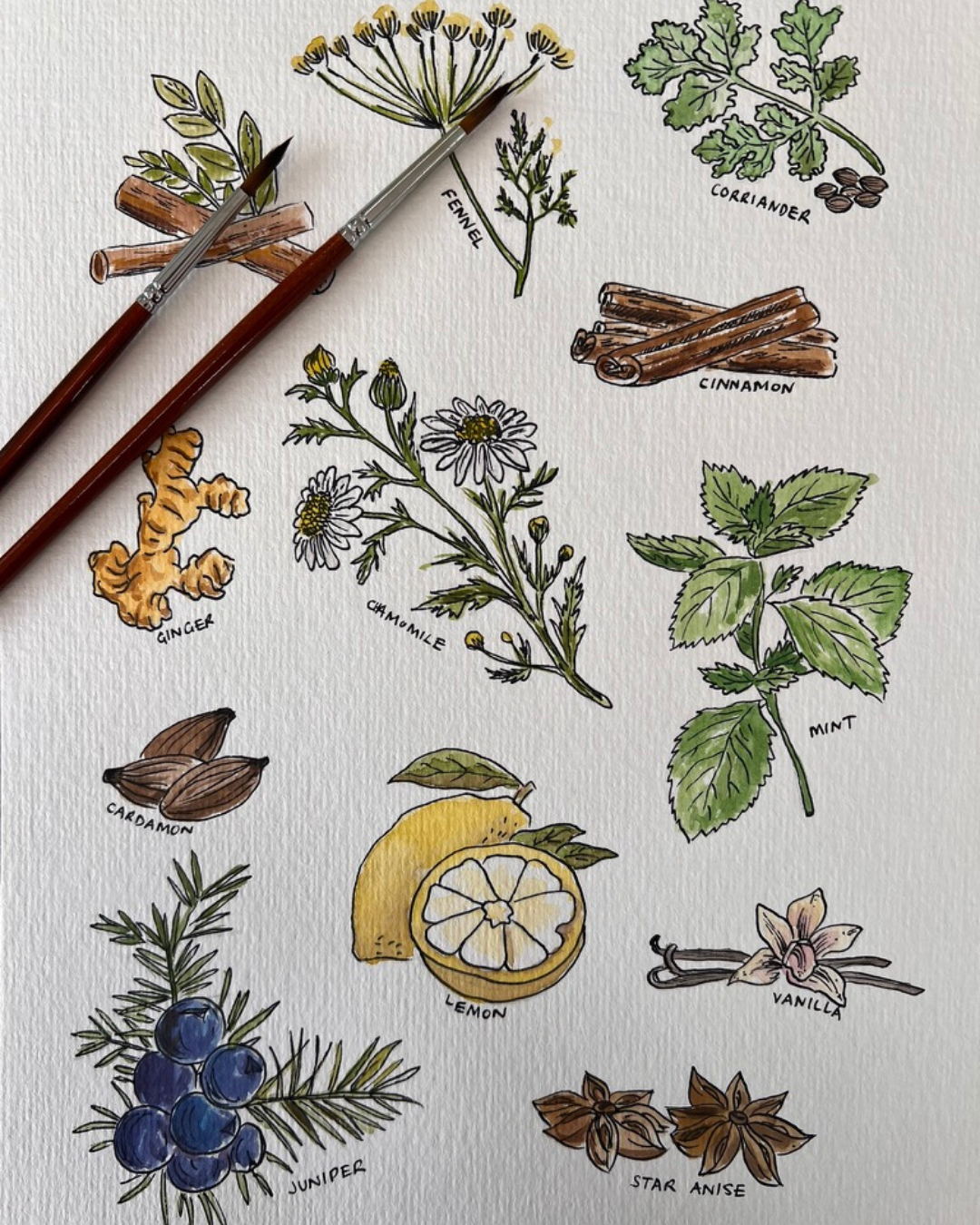 Watercolour Botanicals & Gin