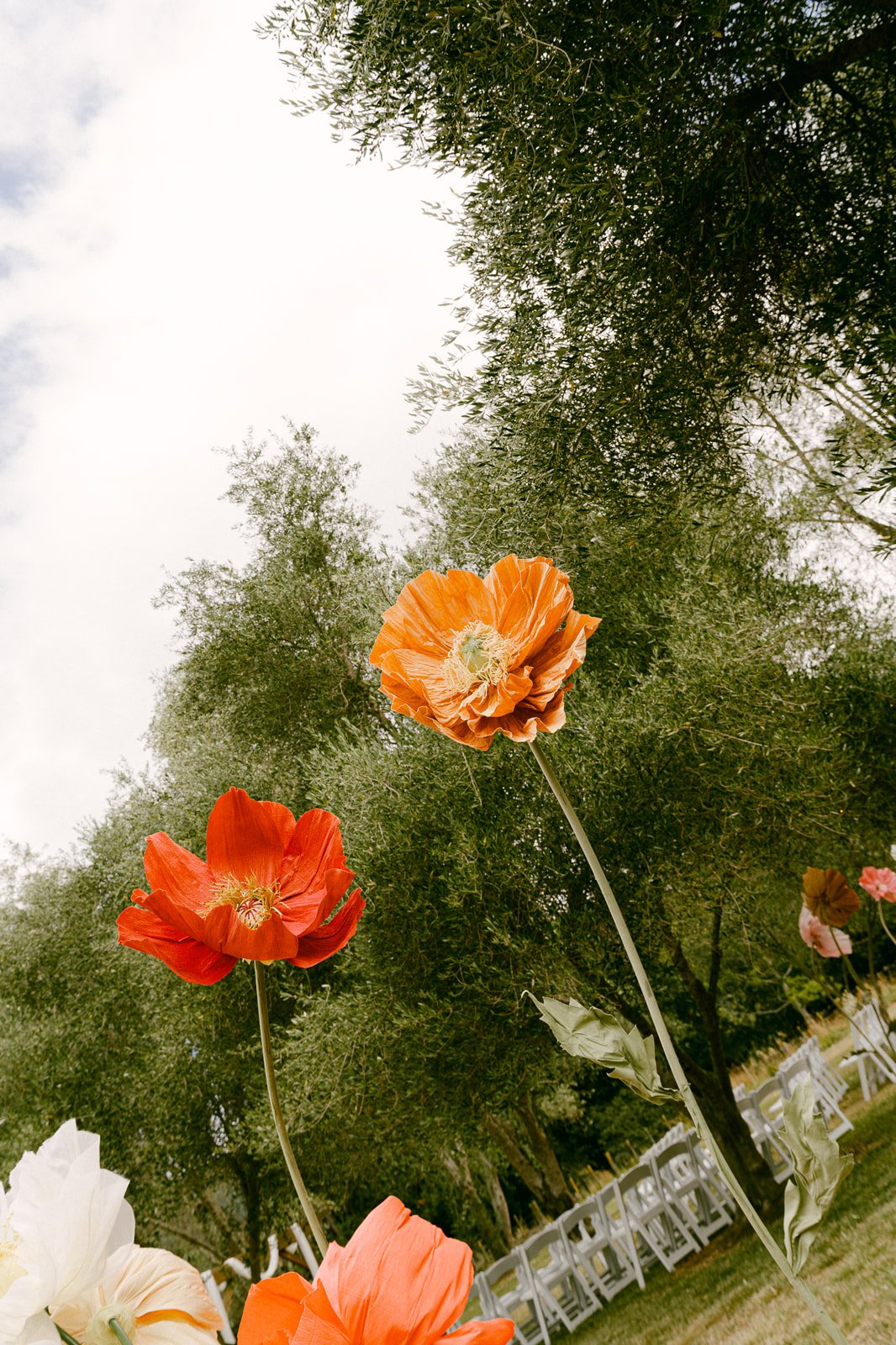 Wajd & Calan Wedding Day - Auburn -137_websize.jpg