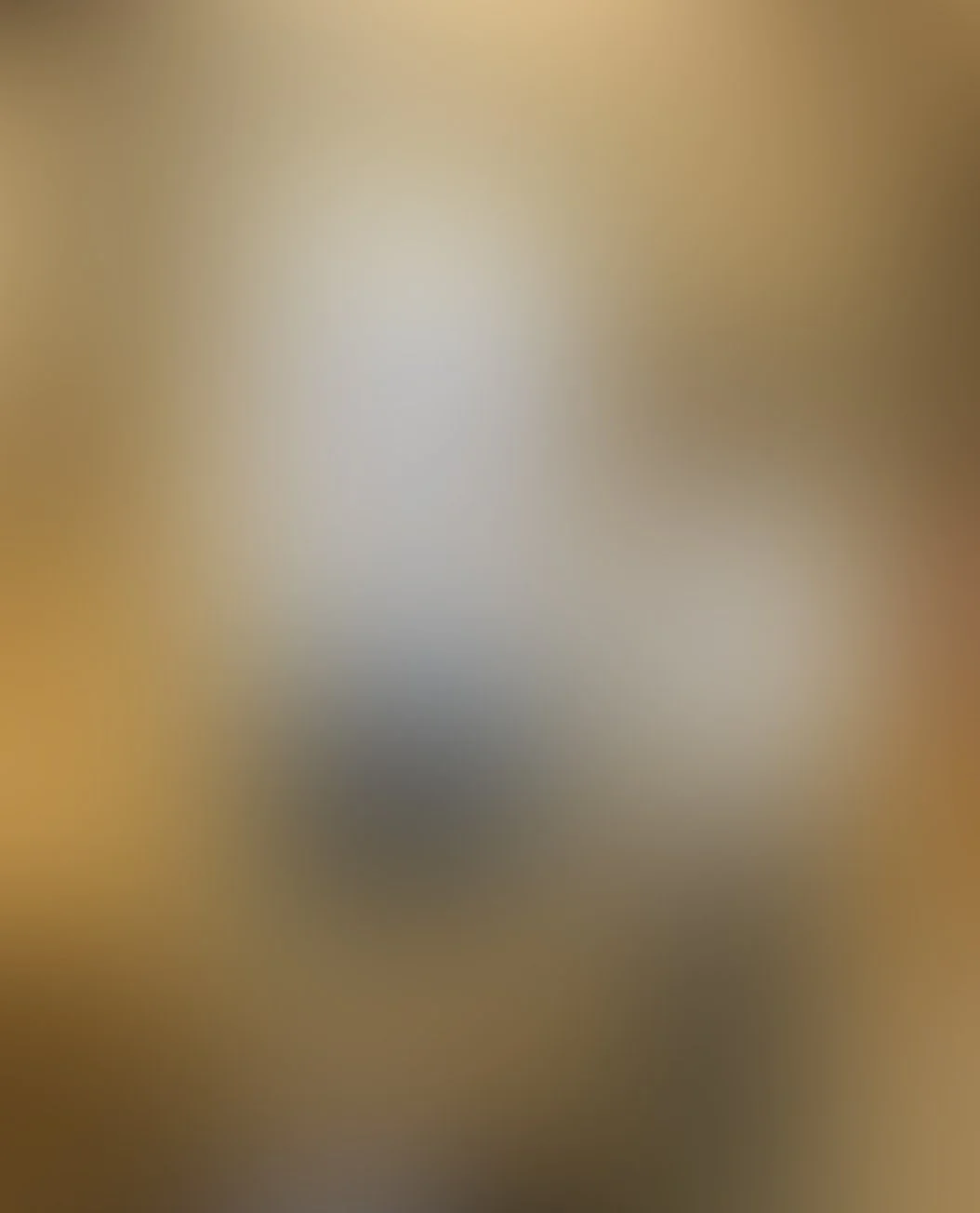 imago-tori-scenographie-musee