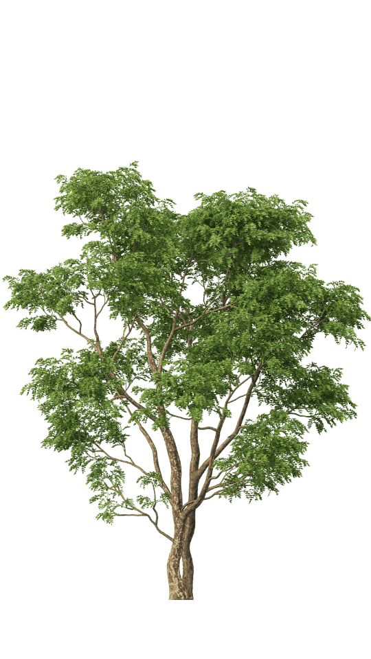 Absolventinnen investieren in We4All