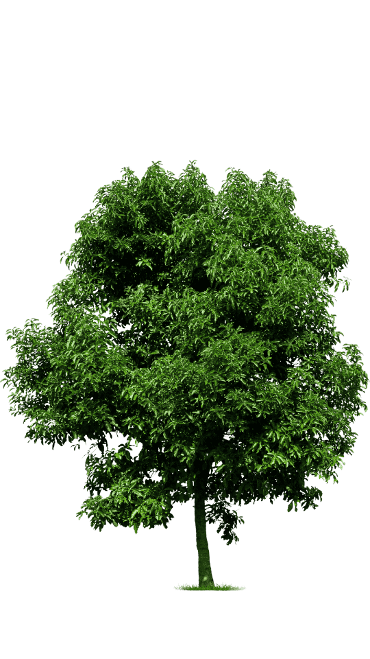 Zusammenarbeit mit internationalen Hilfsorganisationen