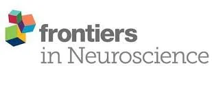 frontierin_systemneuroscience.jpeg