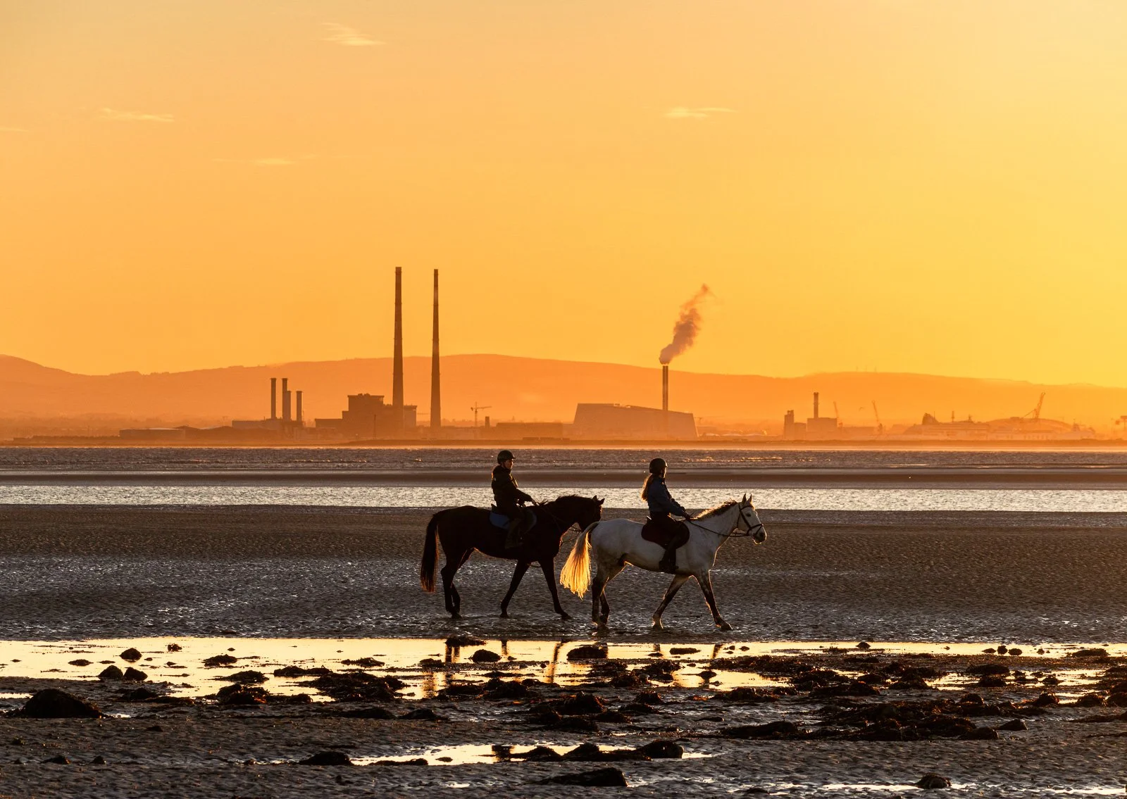 2022-03-01 Sutton Strand horses sunset 1 March 2022.jpg