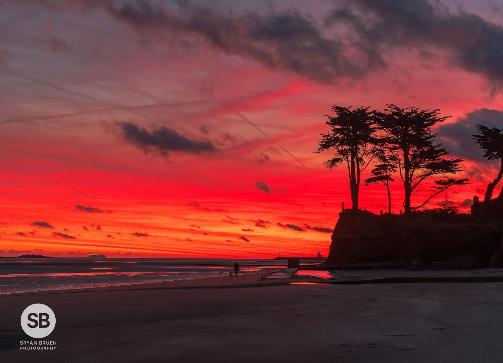 2023-10-17 Burrow Beach Scot Pines red sky sunrise 17 October 2023.jpg