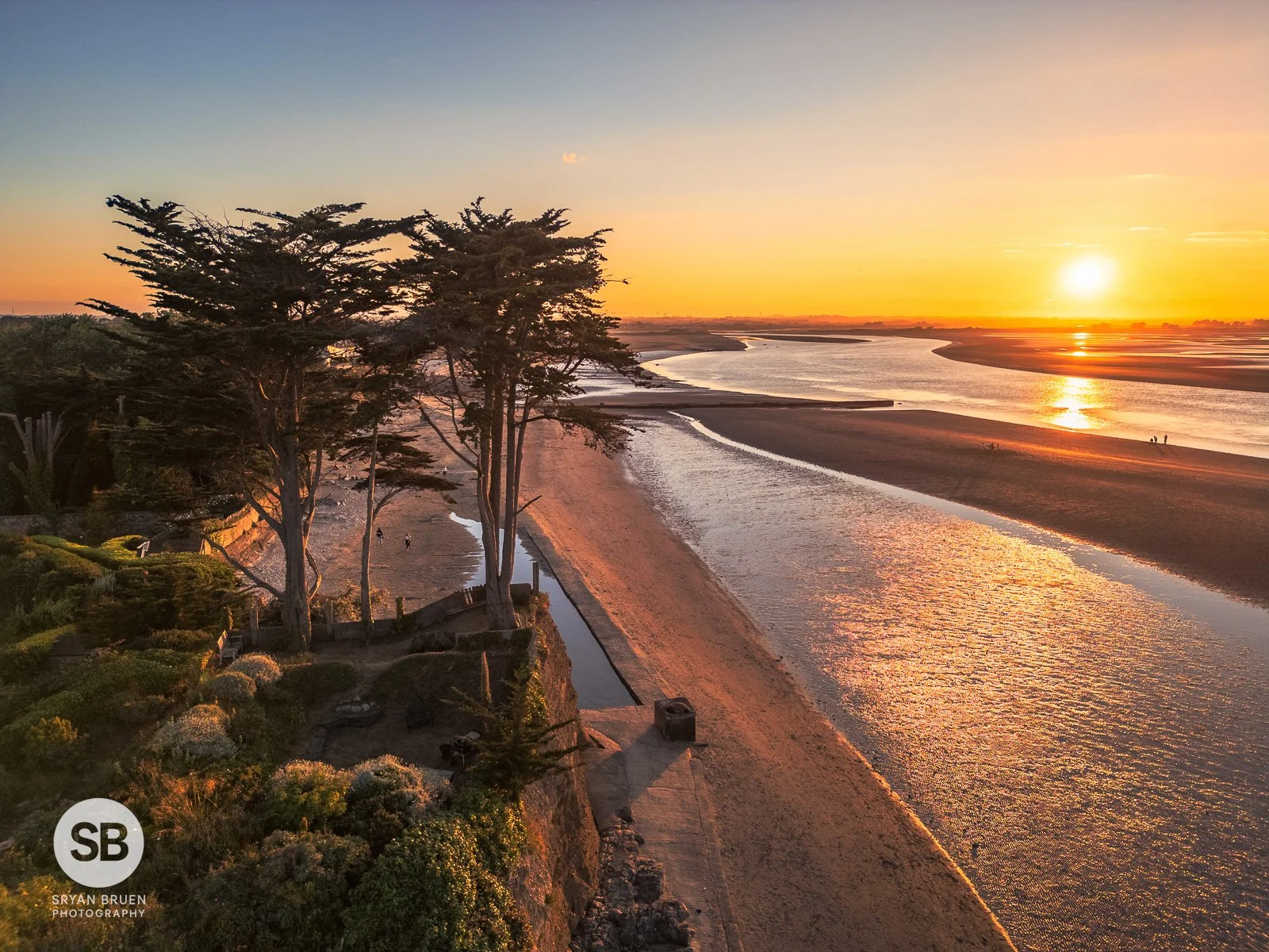 2024-06-24 Burrow Beach scot pines sunset 24 June 2024.jpg