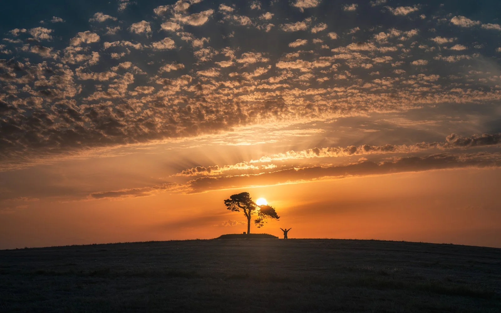 2026-05-26 Fairy Tree sunset sky panorama with Vxlks.jpg