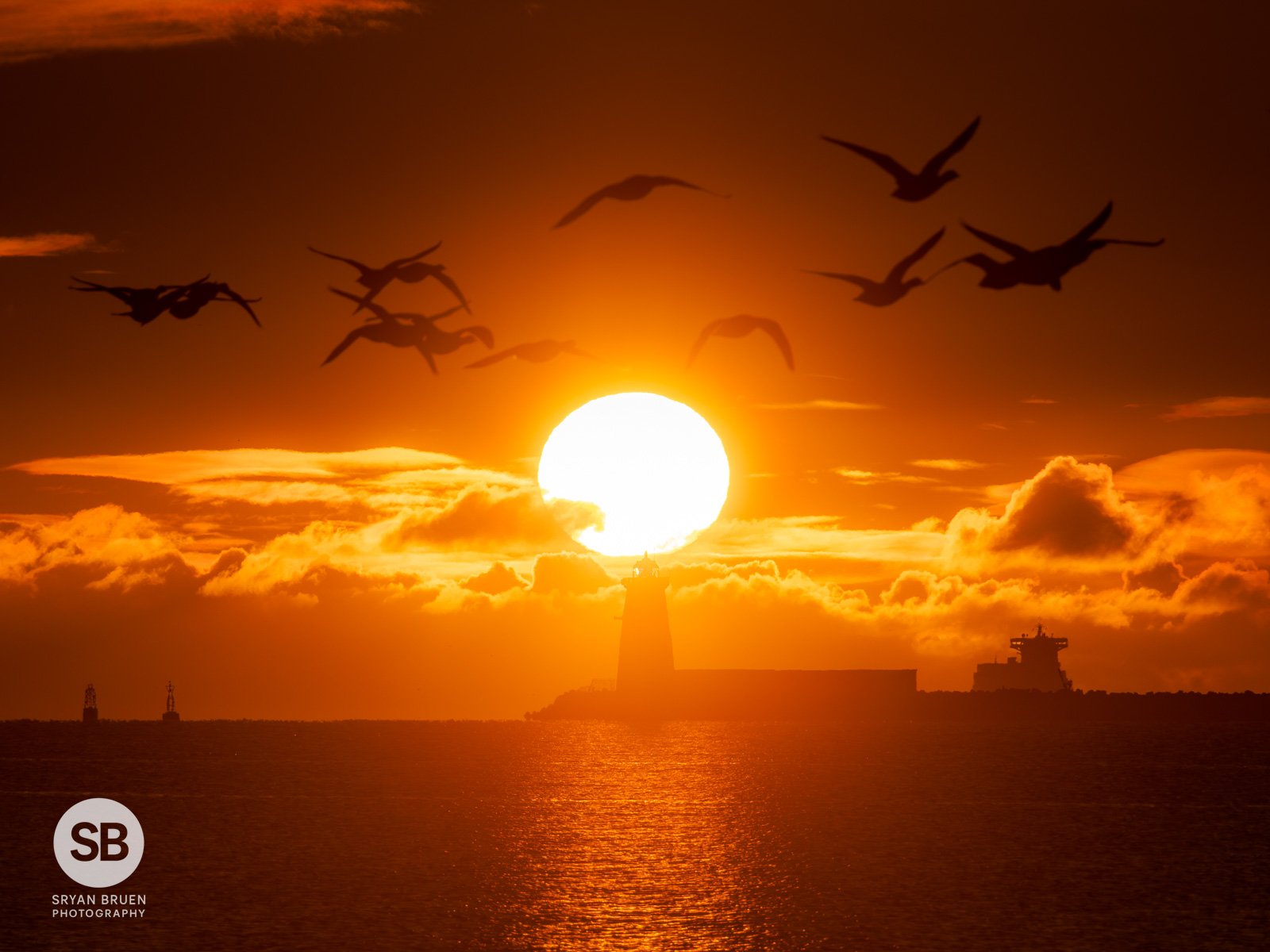 2025-11-30 Poolbeg Lighthouse brent geese sunrise.jpg