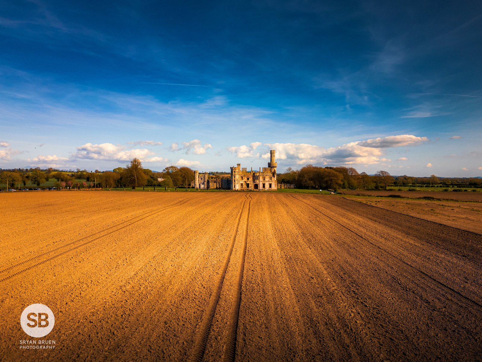 2024-04-20 Duckett's Grove sunshine 20 April 2024.jpg