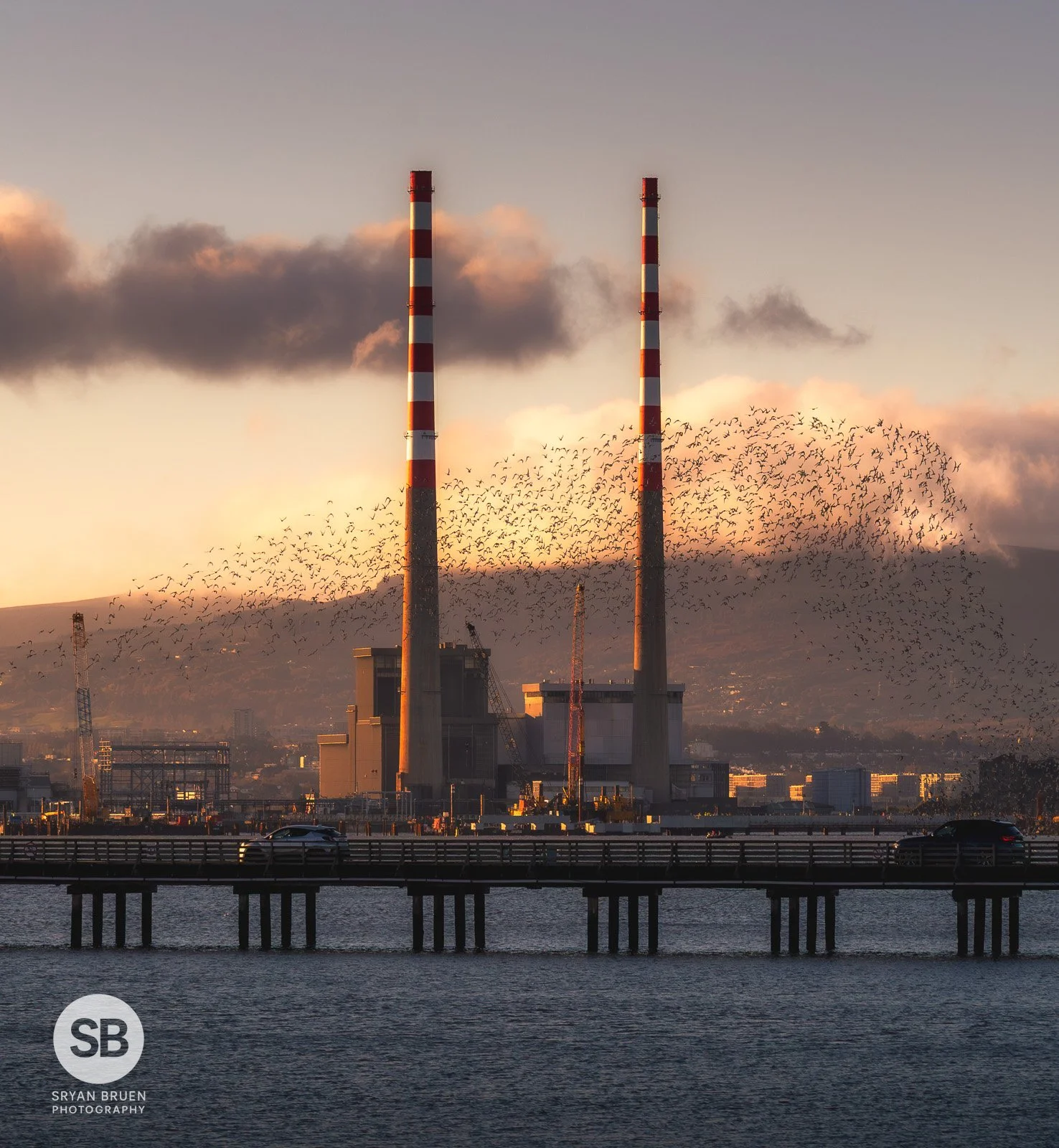 2025-11-19 Wooden Bridge Clontarf Poolbeg brent geese murmuration sunrise.jpg