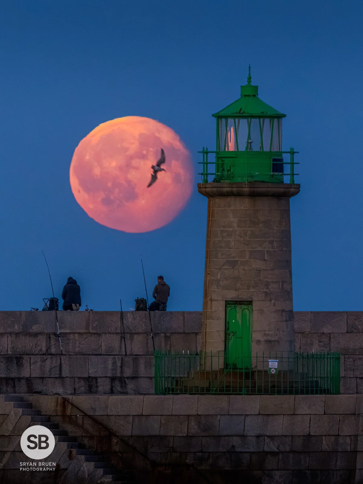 2026-09-28 Dun Laoghaire West Pier Lighthouse moonrise with bird.jpg