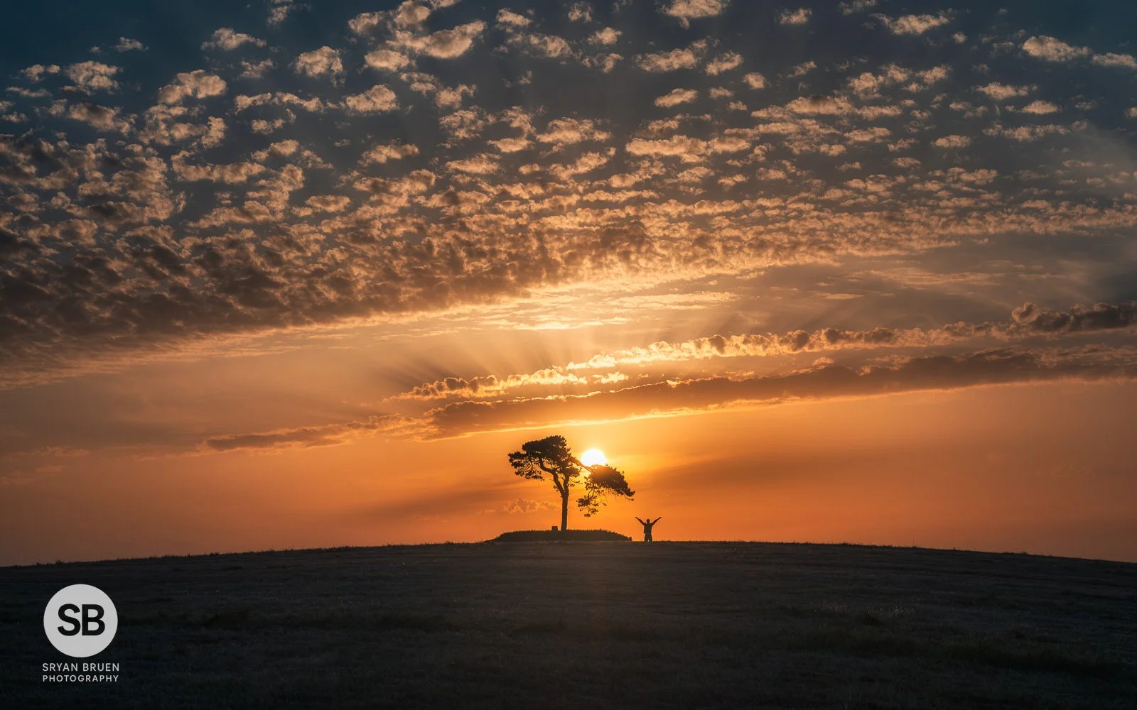 2026-05-26 Fairy Tree sunset sky panorama with Vxlks.jpg