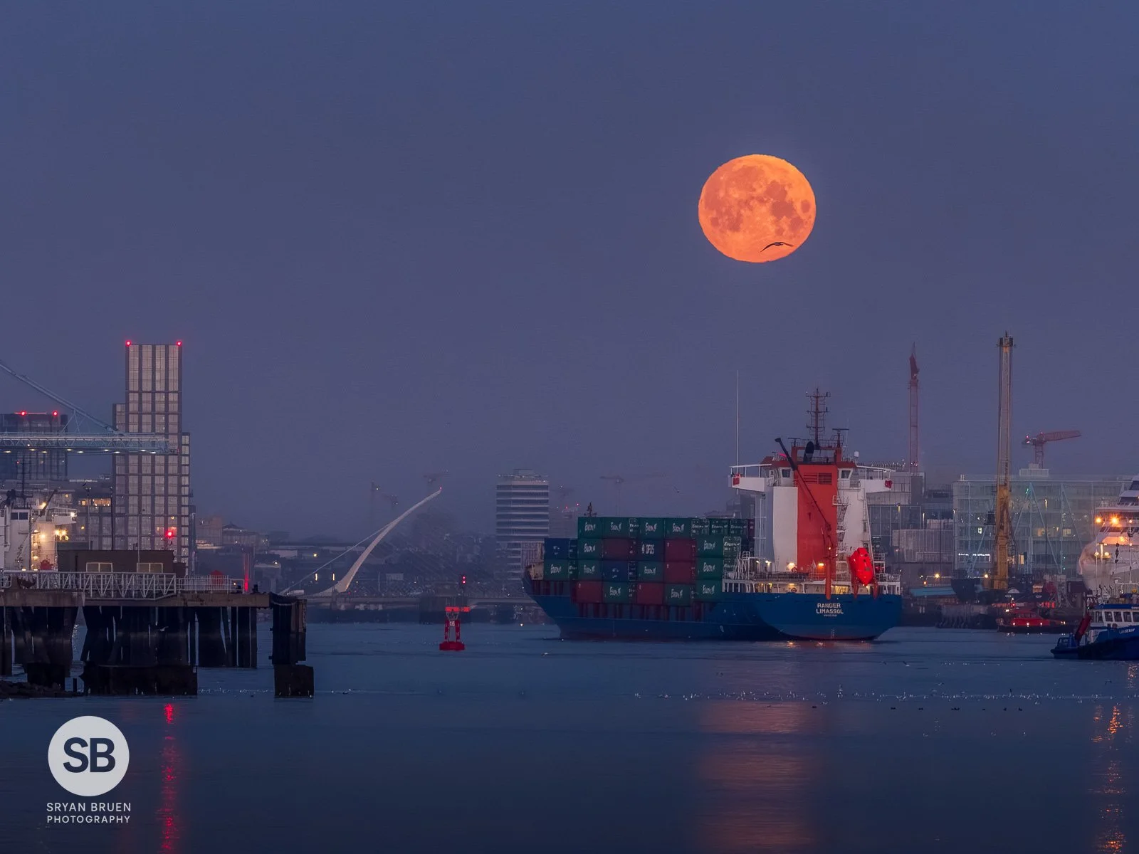 2026-03-03 Dublin City moonset alignment with bird and boat.jpg