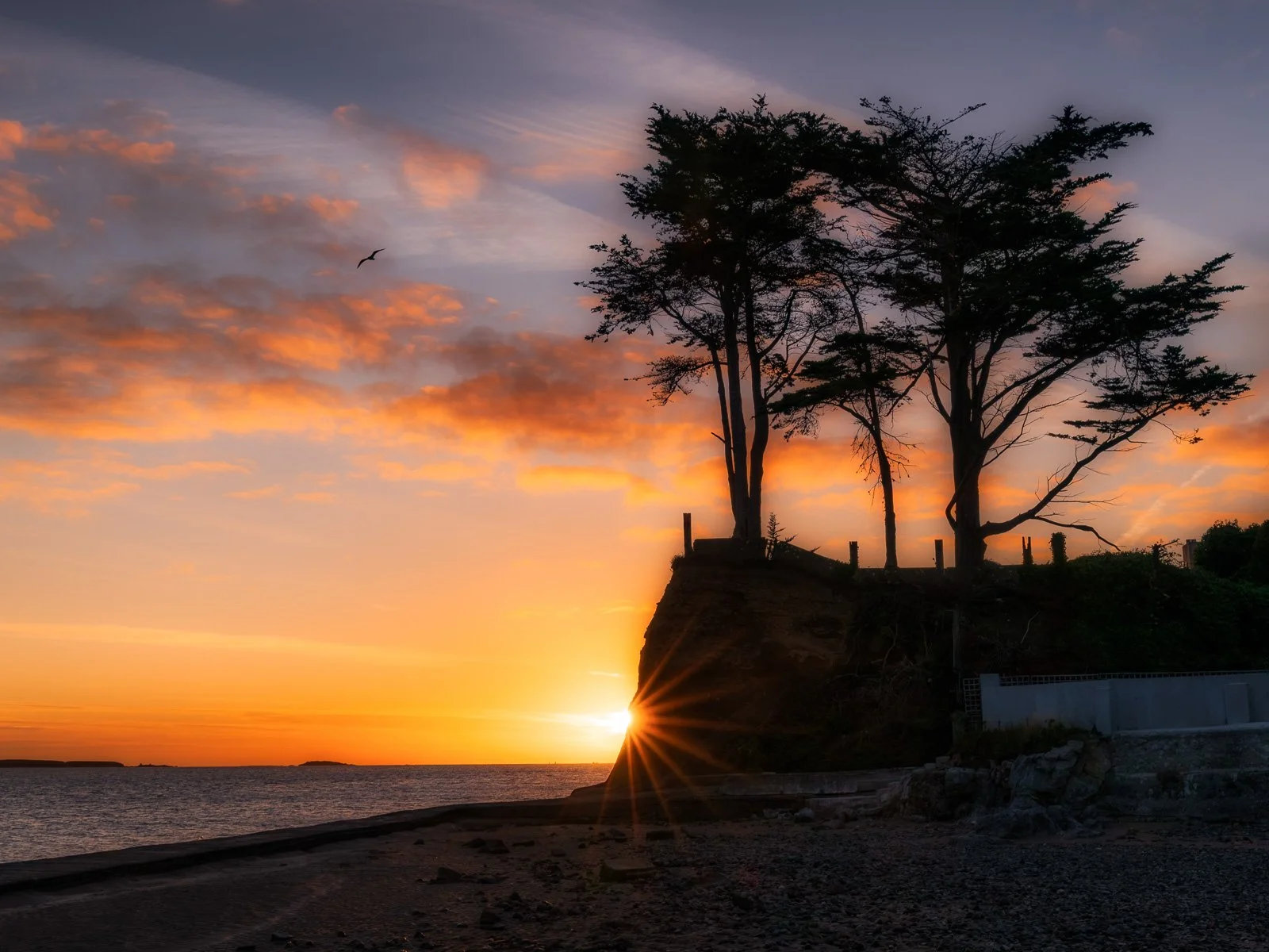 2026-09-05 Burrow Beach sunrise starburst.jpg