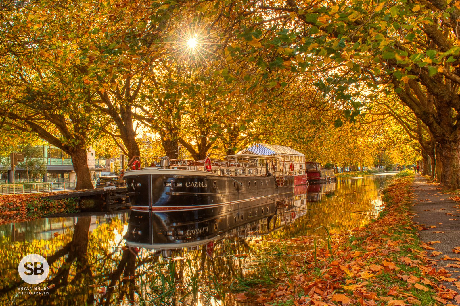 2021-10-30 Grand Canal autumn colours sunburst reflections 30 October 2021.jpg