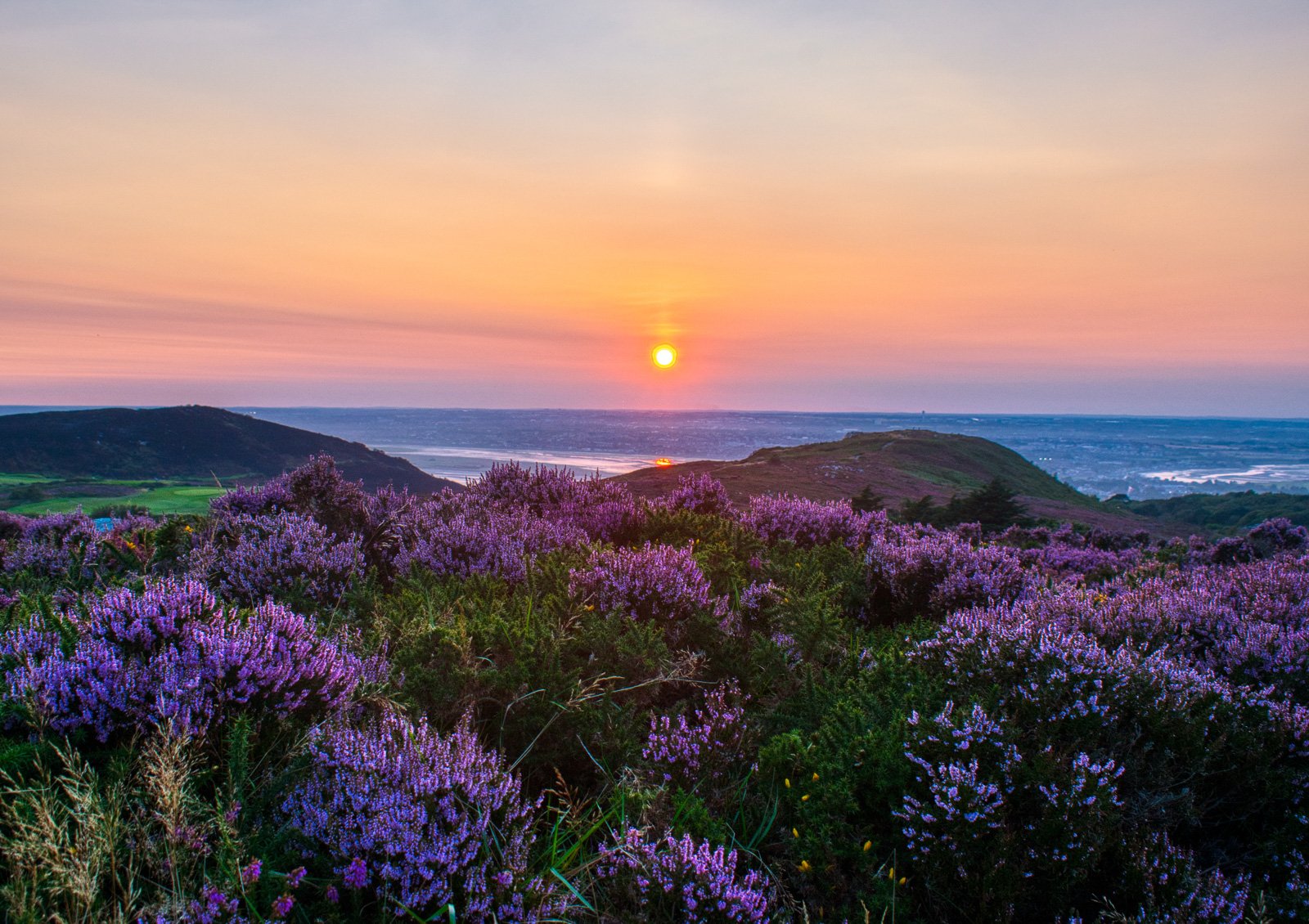2021-08-25 Howth heather sunset 25 August 2021.jpg