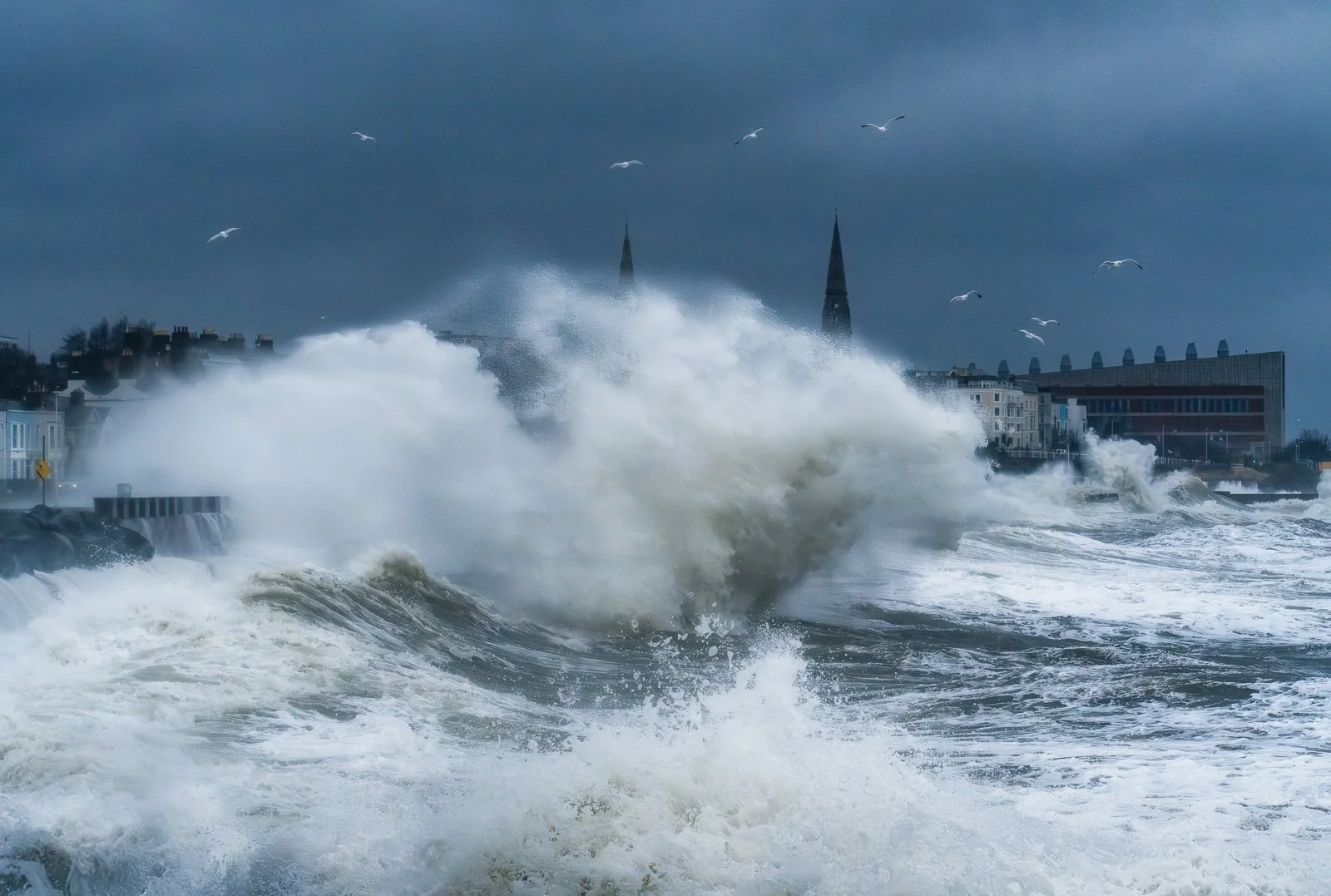 2026-02-05 Scotman's Bay stormy waves and birds.jpg