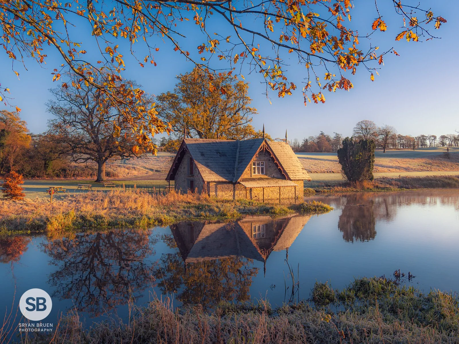 2024-11-26 Carton House autumn colours frost reflections 26 November 2024.jpg