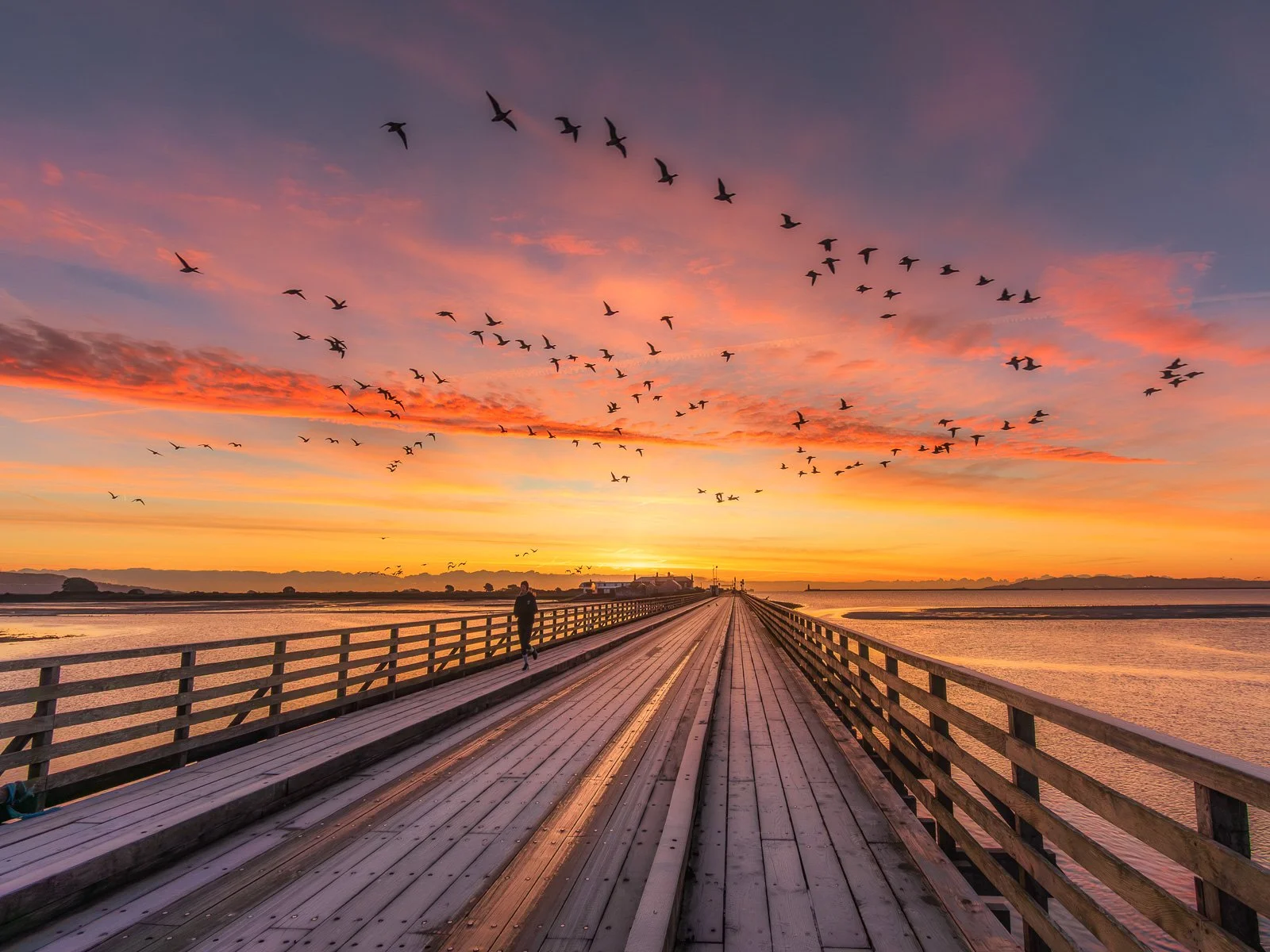 2025-11-21 Brent geese flying over colourful Wooden Bridge sunrise.jpg