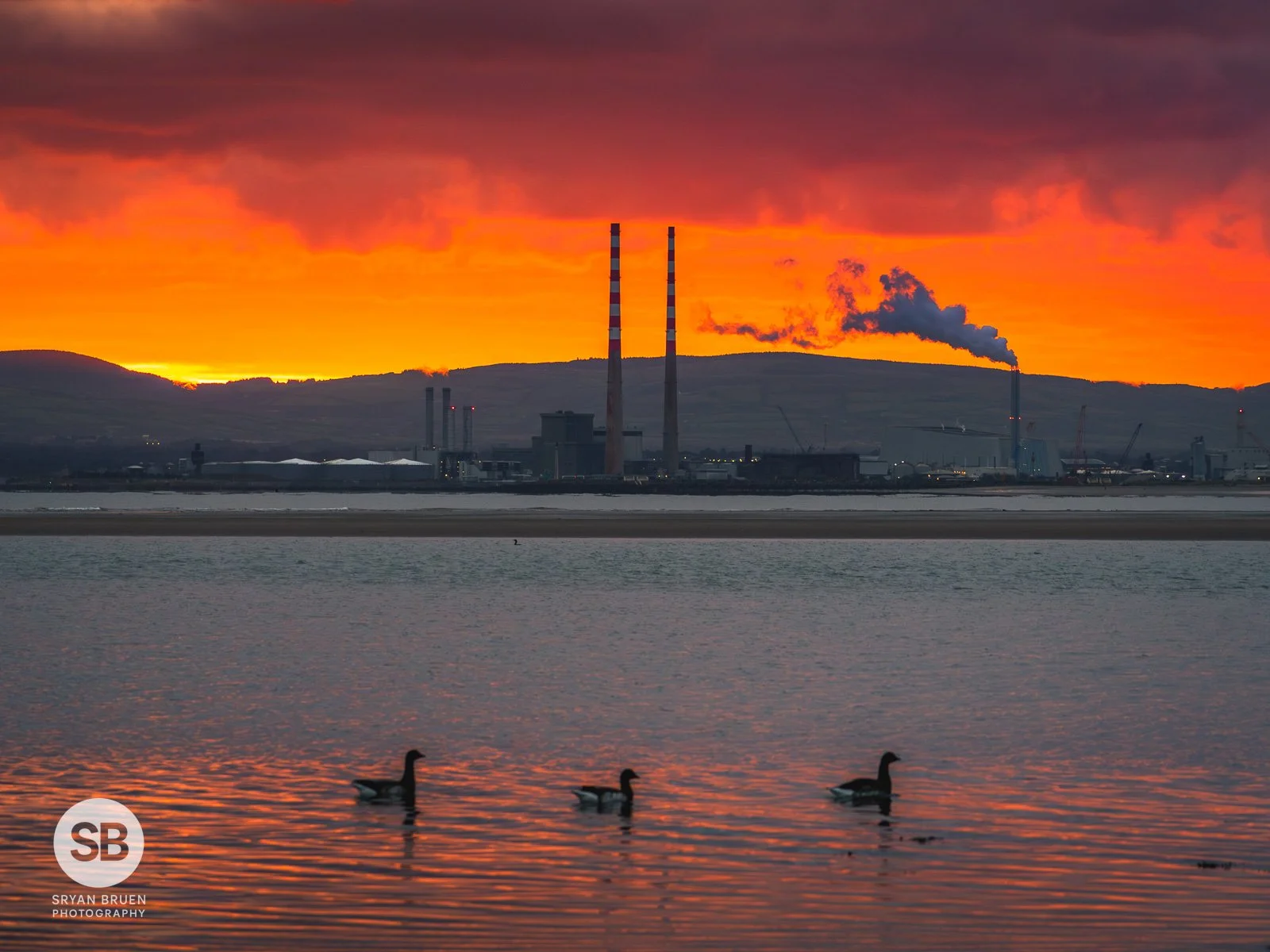 2025-11-17 Sutton Strand sunset geese.jpg