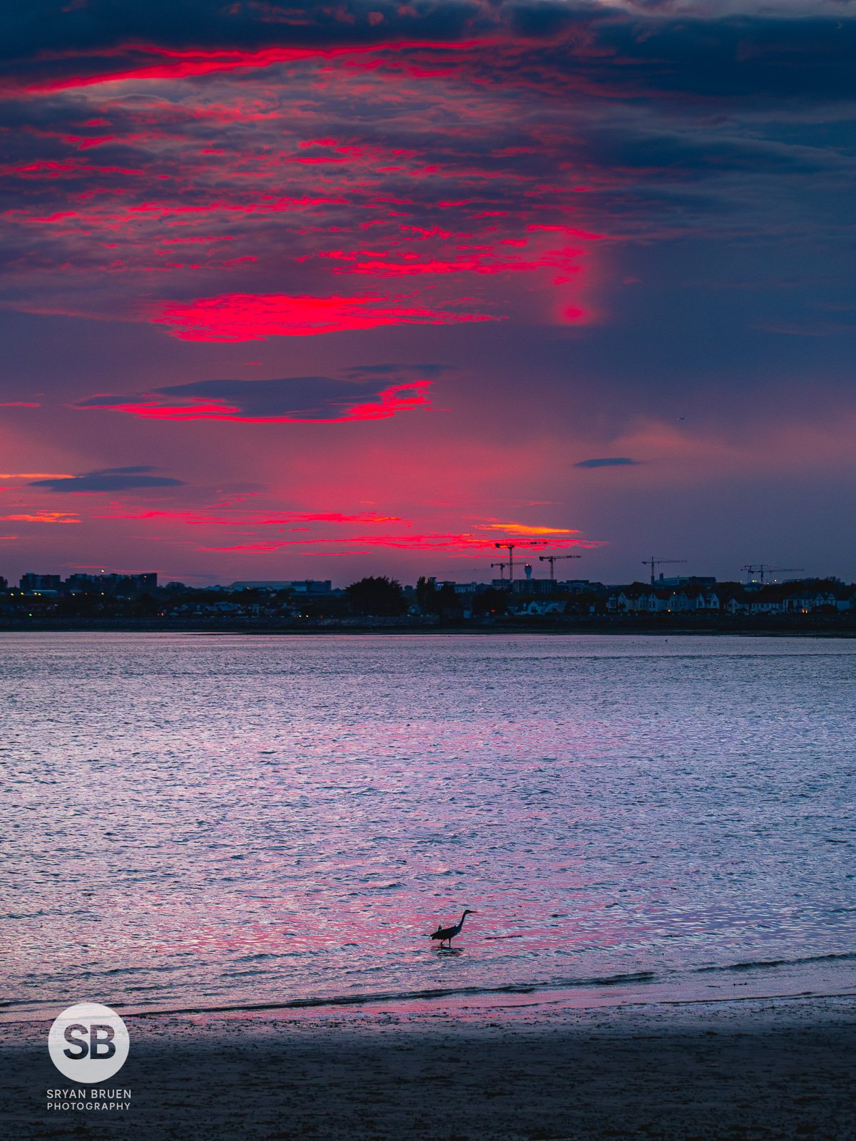 2025-04-27 Sutton Strand heron sunset red sky 27 April 2025.jpg