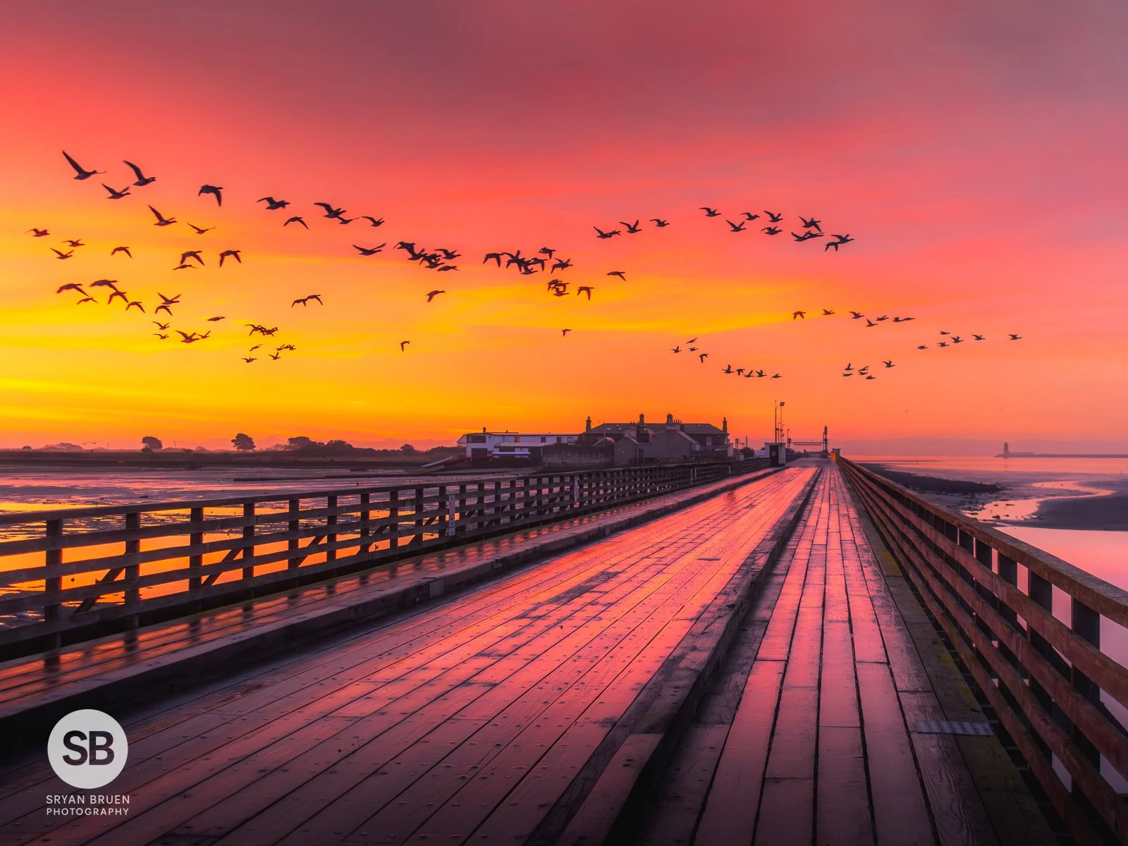 2024-12-04 Wooden Bridge brent geese red sunrise sky.jpg