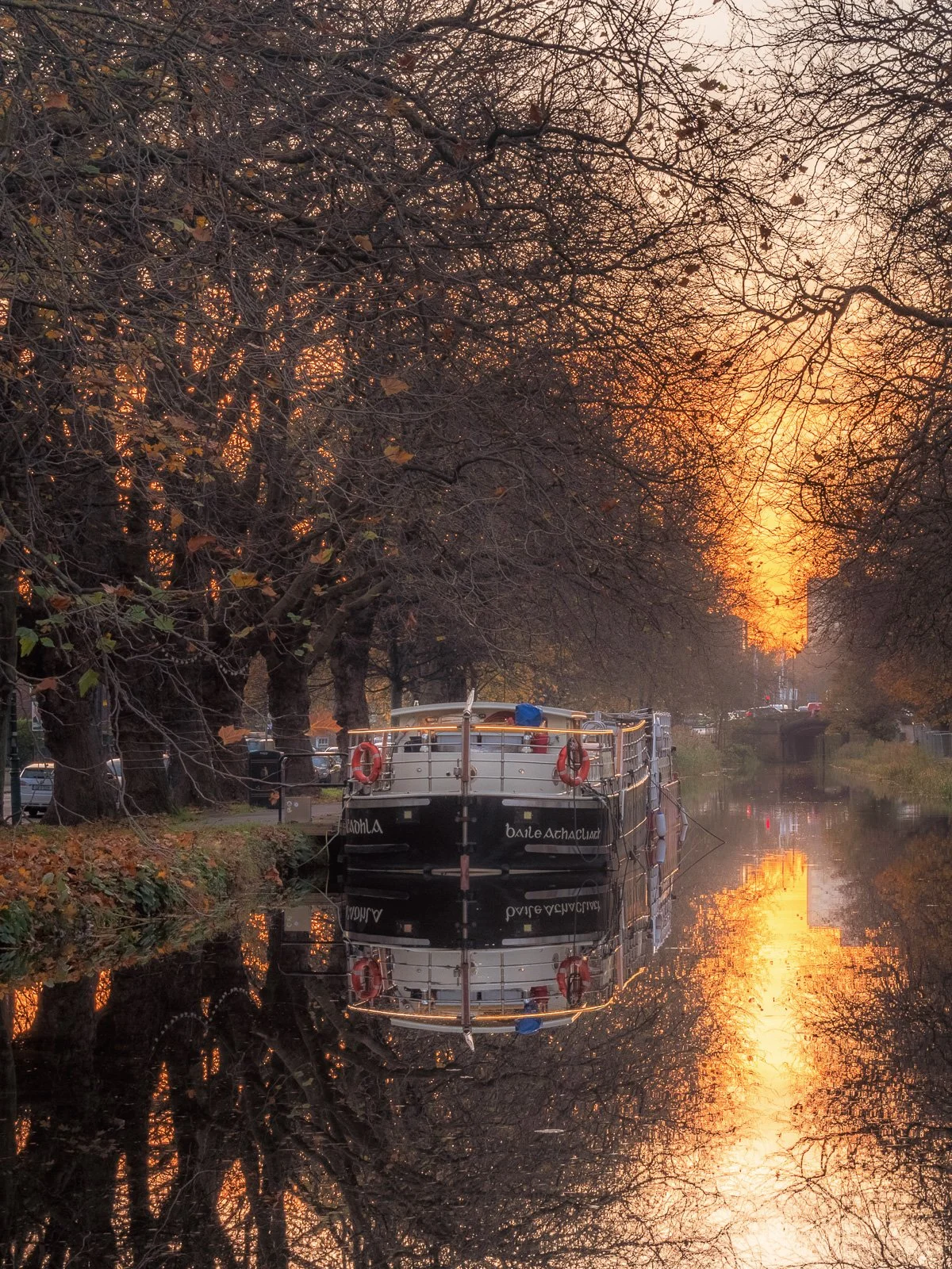 2024-11-12 Grand Canal Mespil Road sunset 12 November 2024.jpg