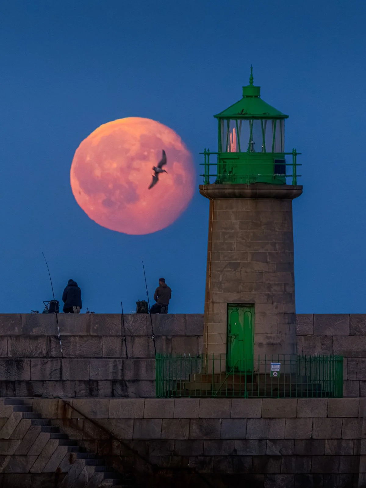 2026-09-28 Dun Laoghaire West Pier Lighthouse moonrise with bird.jpg