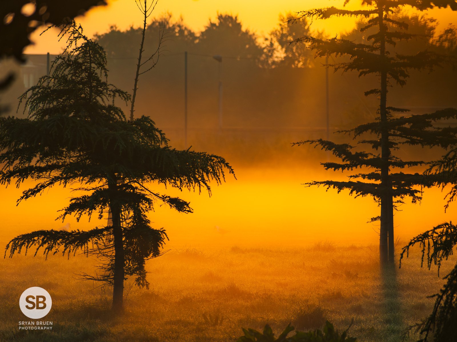 2023-09-06 Father Collins Park misty sunrise 6 September 2023.jpg