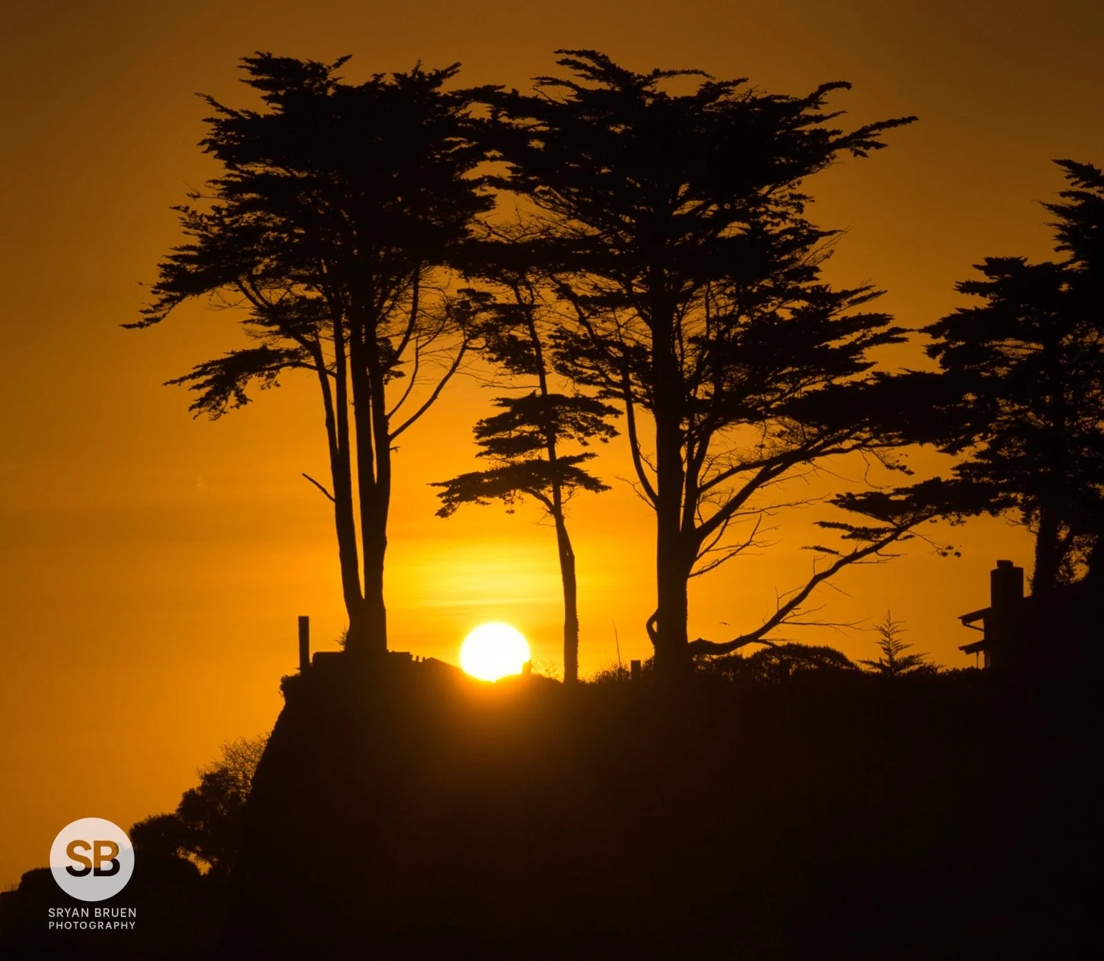 2022-03-18 Burrow Beach Scot Pines sunrise 18 March 2022.jpg