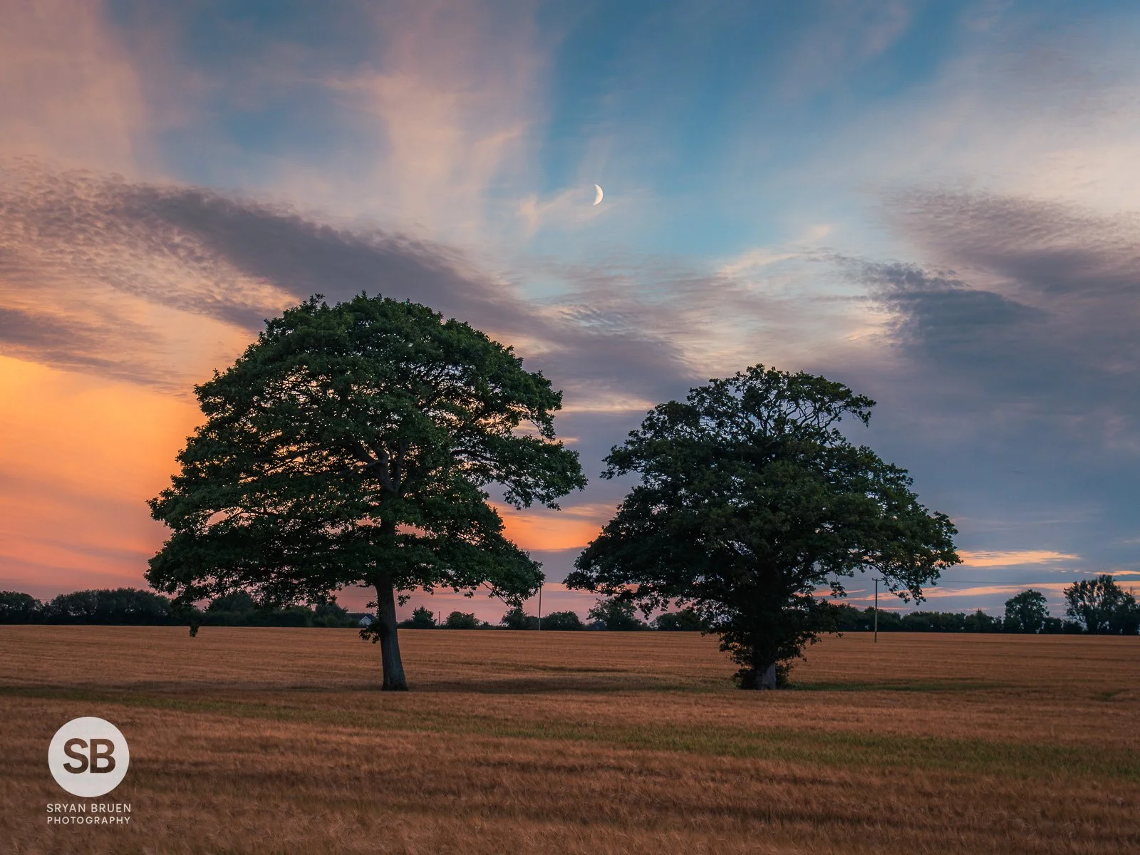 2024-08-10 Balheary two trees dusk moon 10 August 2024.jpg
