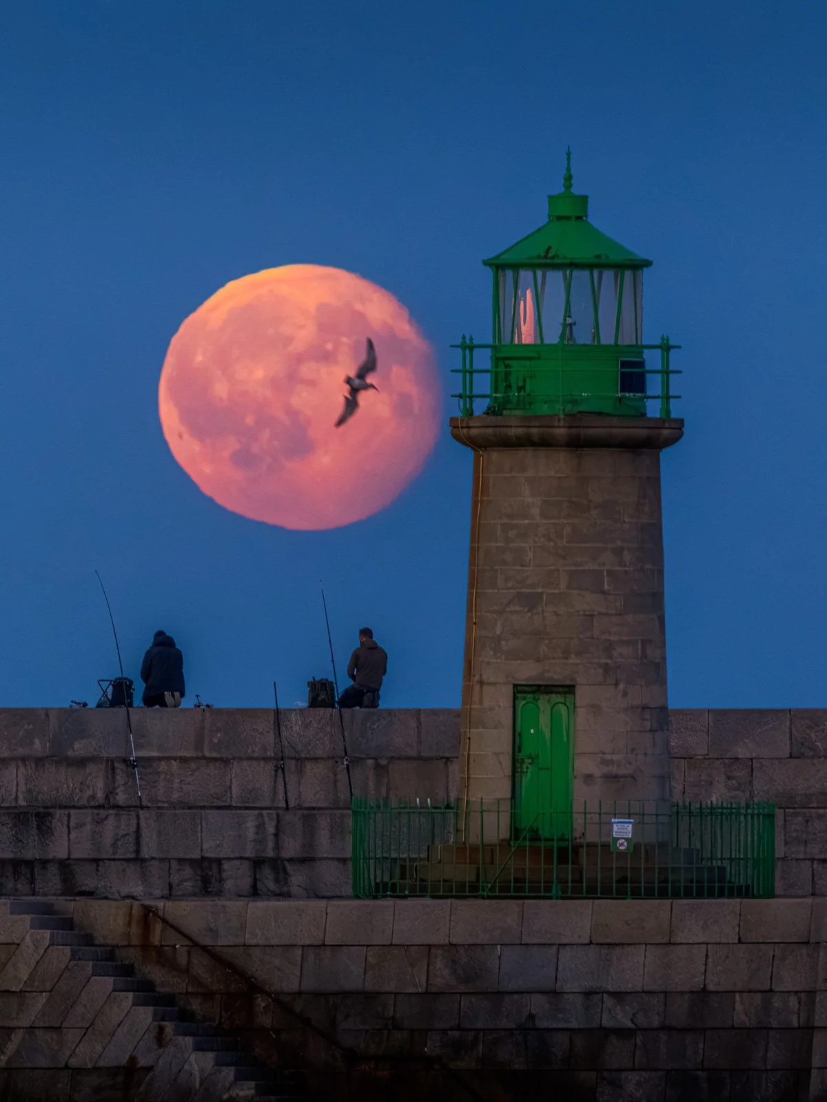 2026-09-28 Dun Laoghaire West Pier Lighthouse moonrise with bird.jpg