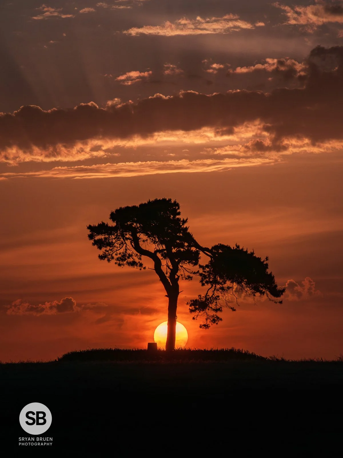 2026-05-26 Fairy Tree sunset alignment.jpg