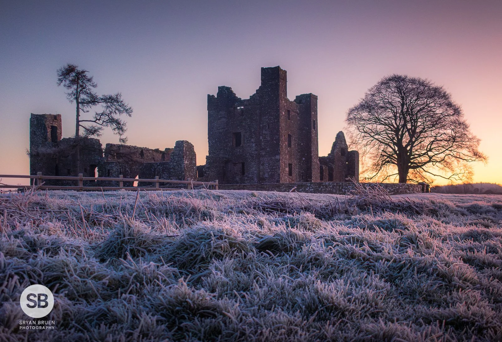 2025-01-03 Bective Abbey frosty dawn 3 January 2025.jpg